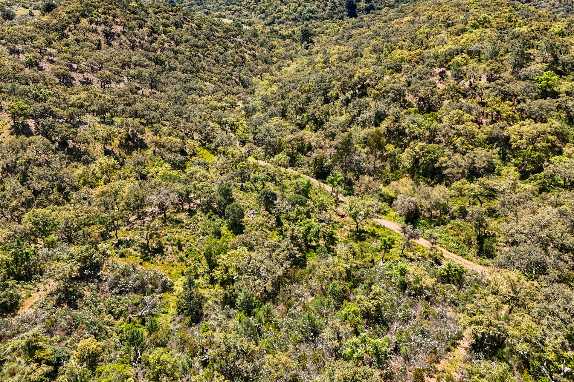  Real estate land for Sale - 物件實景