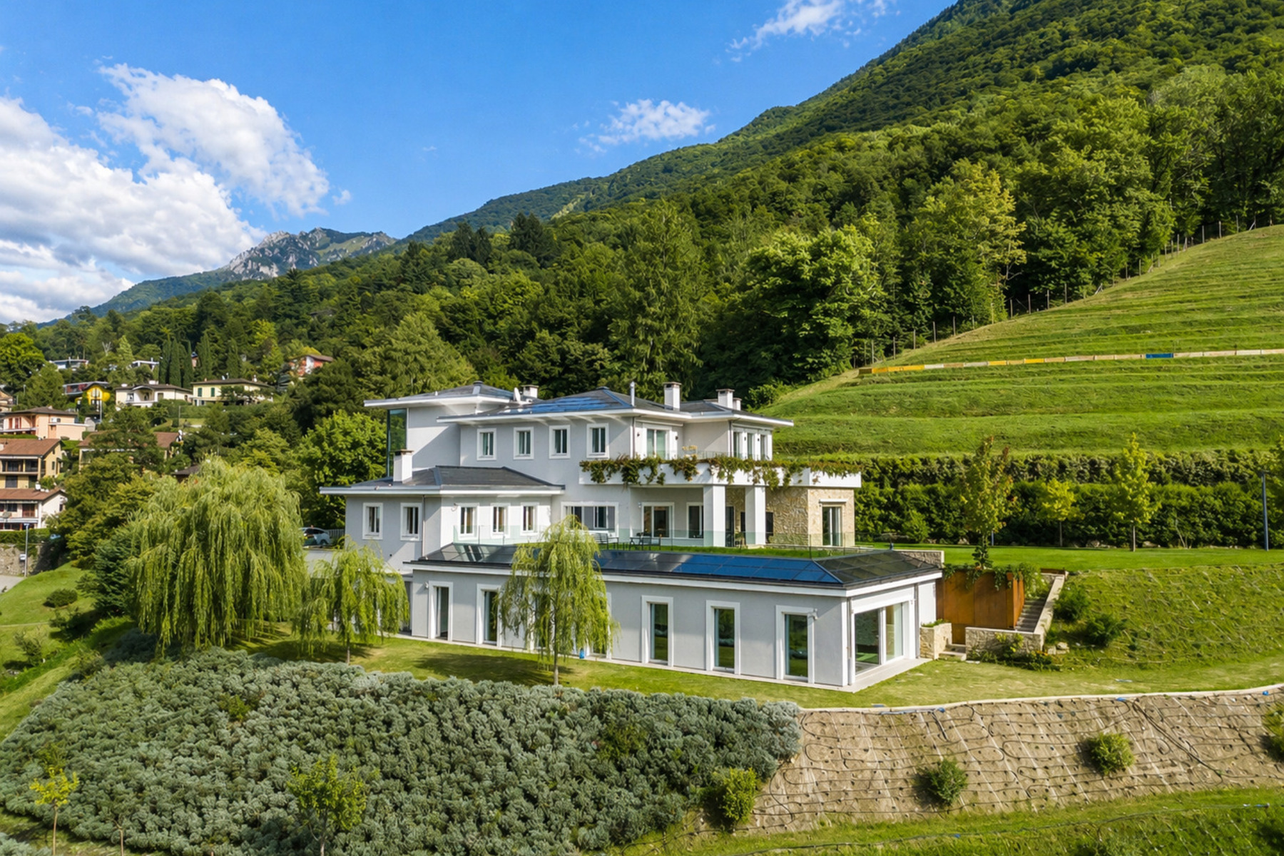  Elegant contemporary villa nestled in its own private park - 物件實景