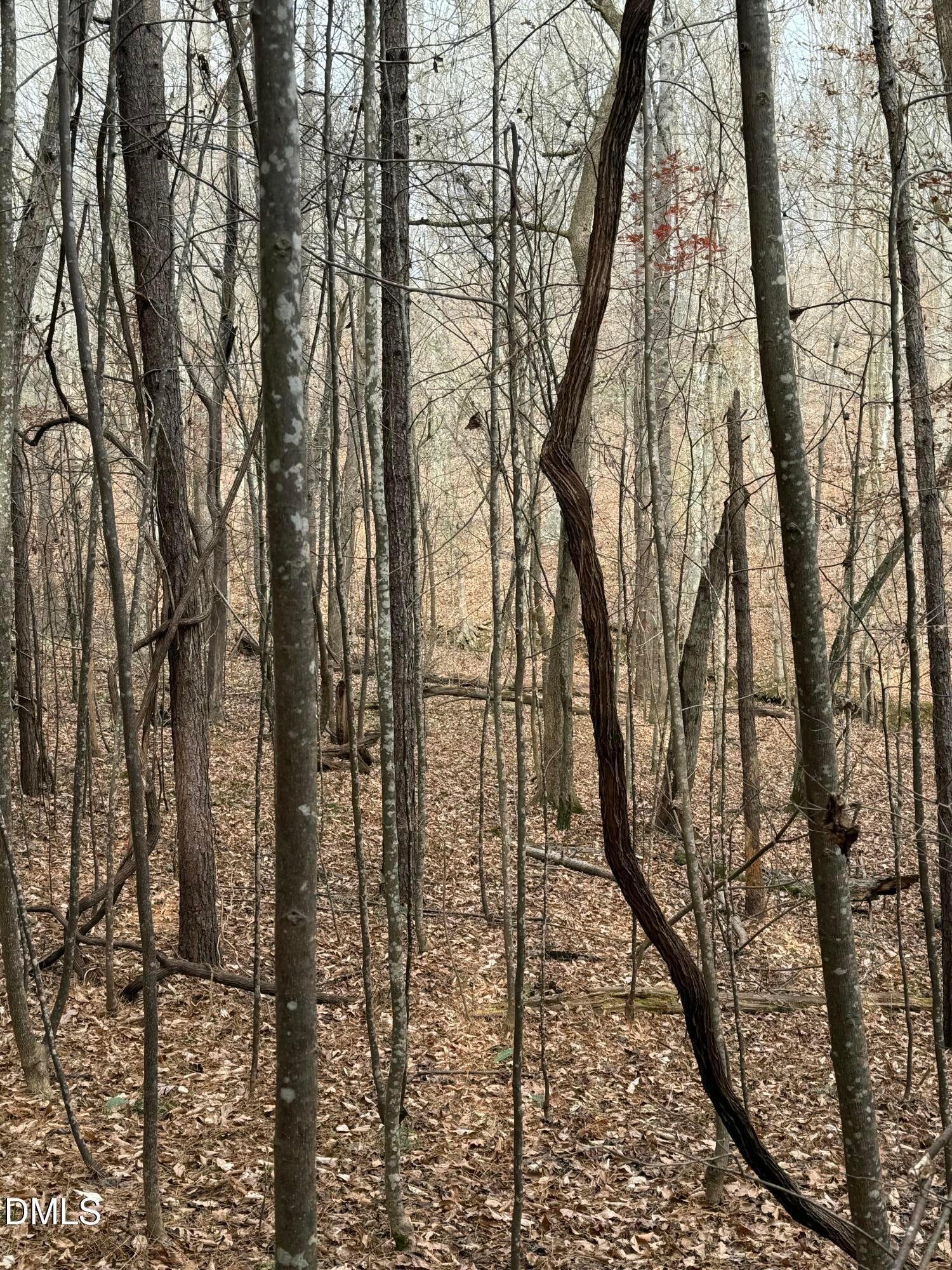 Oxford, North Carolina, 27565, United States, ,Land,For Sale,2000467