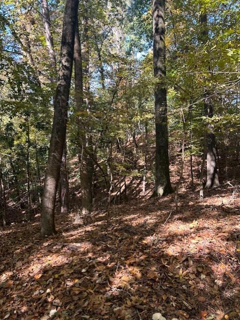 Atlanta, Georgia, 30327, United States, ,Land,For Sale,1988161