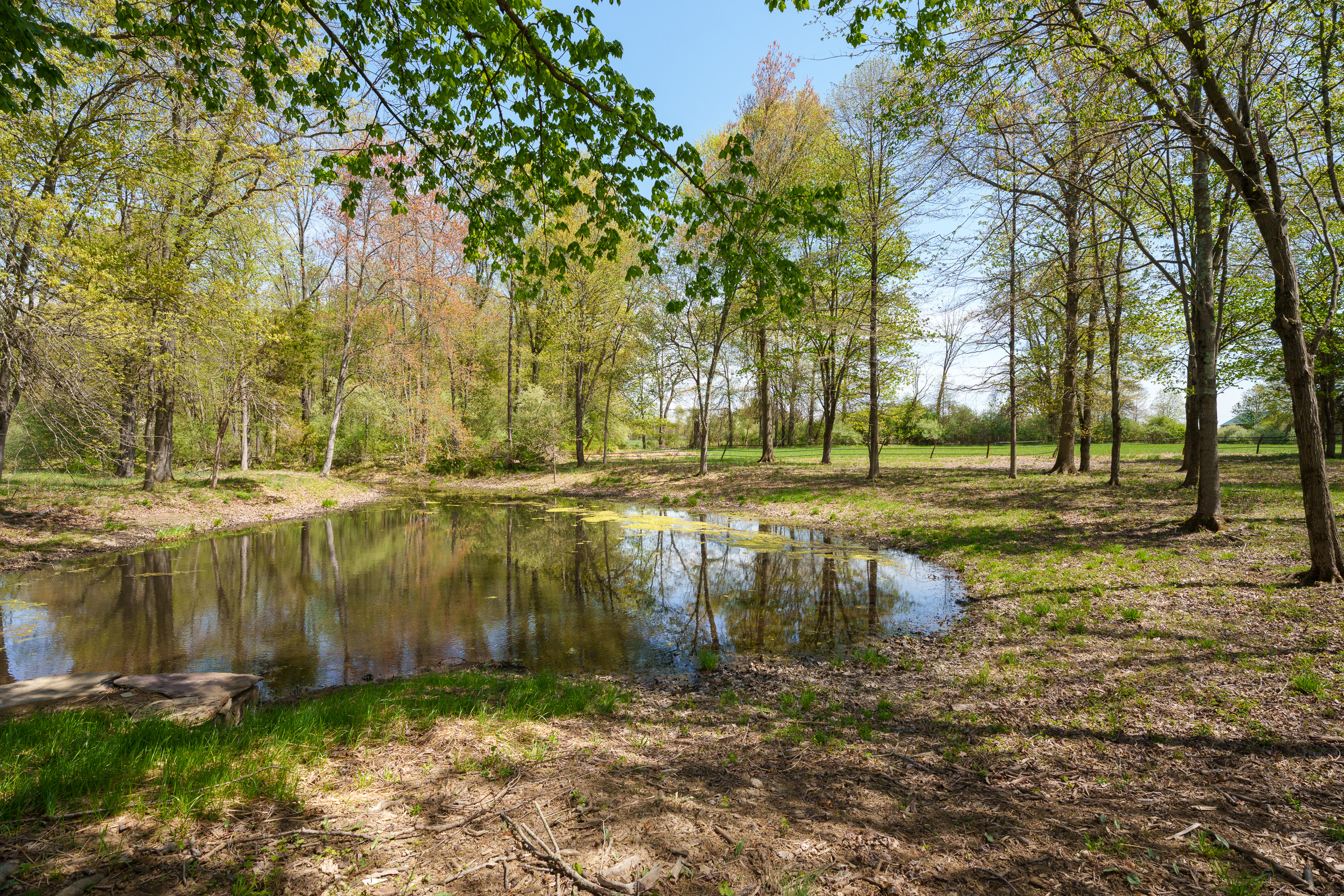  Water and Woodland Views - Magic in Ever Direction - 物件實景