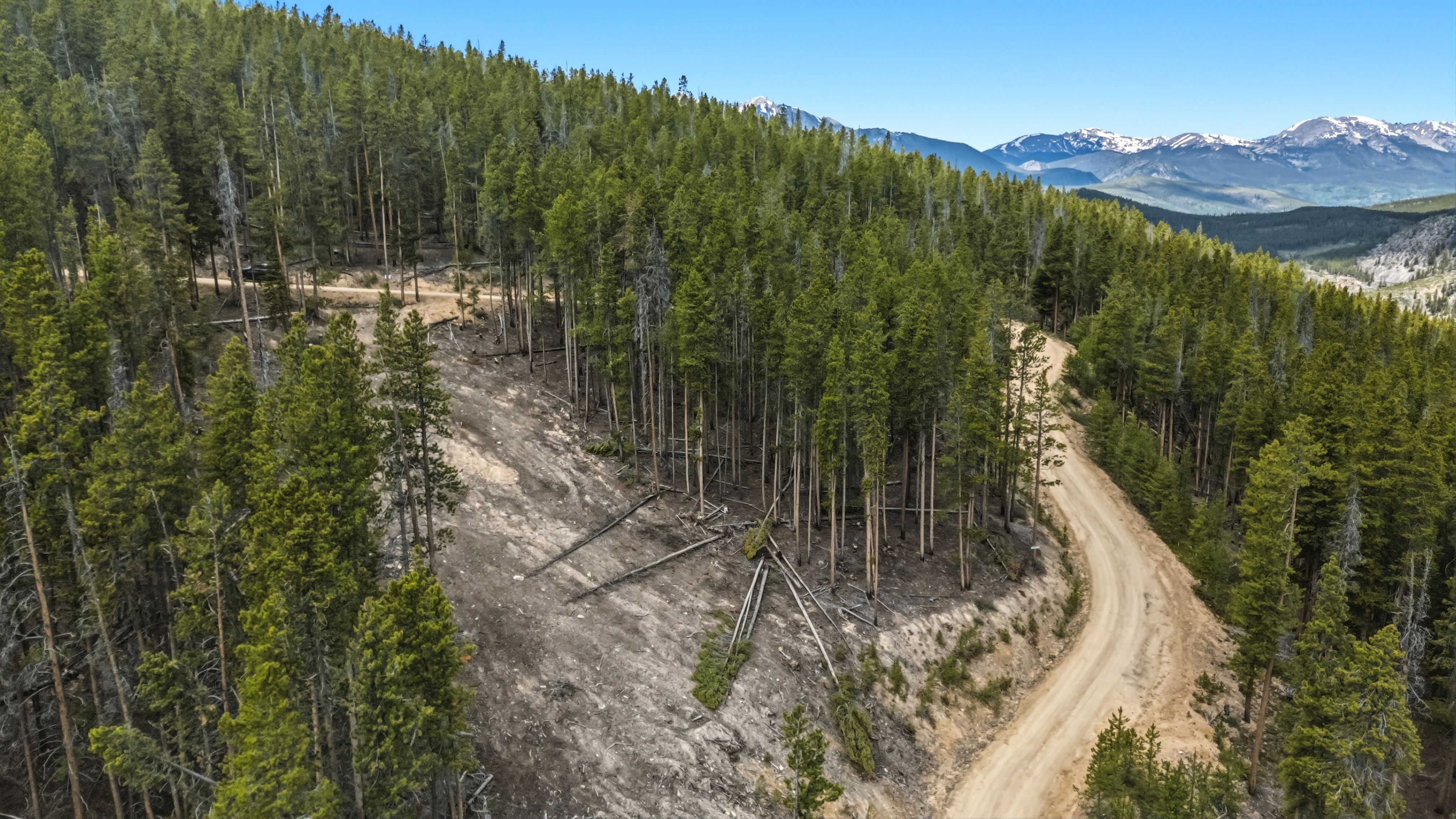  653 Summit Gulch Road, Breckenridge, CO, 80424 - 物件實景