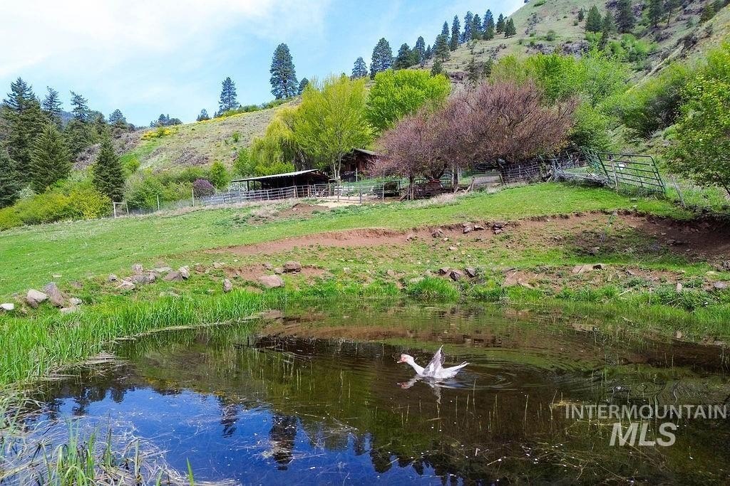 Riggins, Idaho, 83549, United States, 2 Bedrooms Bedrooms, ,1 BathroomBathrooms,Residential,For Sale,1826044