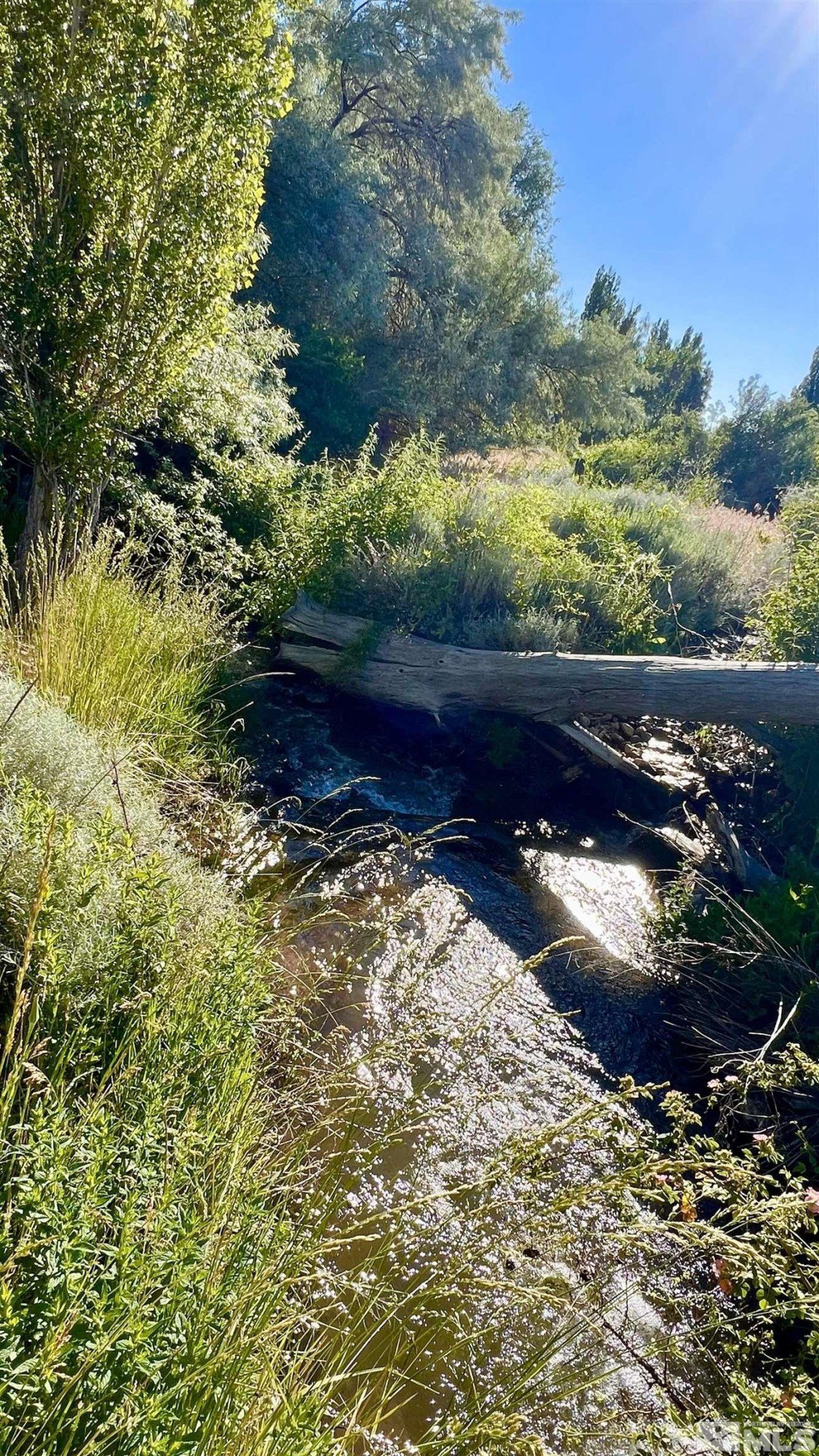 Unionville, Nevada, 89418, United States, 4 Bedrooms Bedrooms, ,2 BathroomsBathrooms,Residential,For Sale,1975232