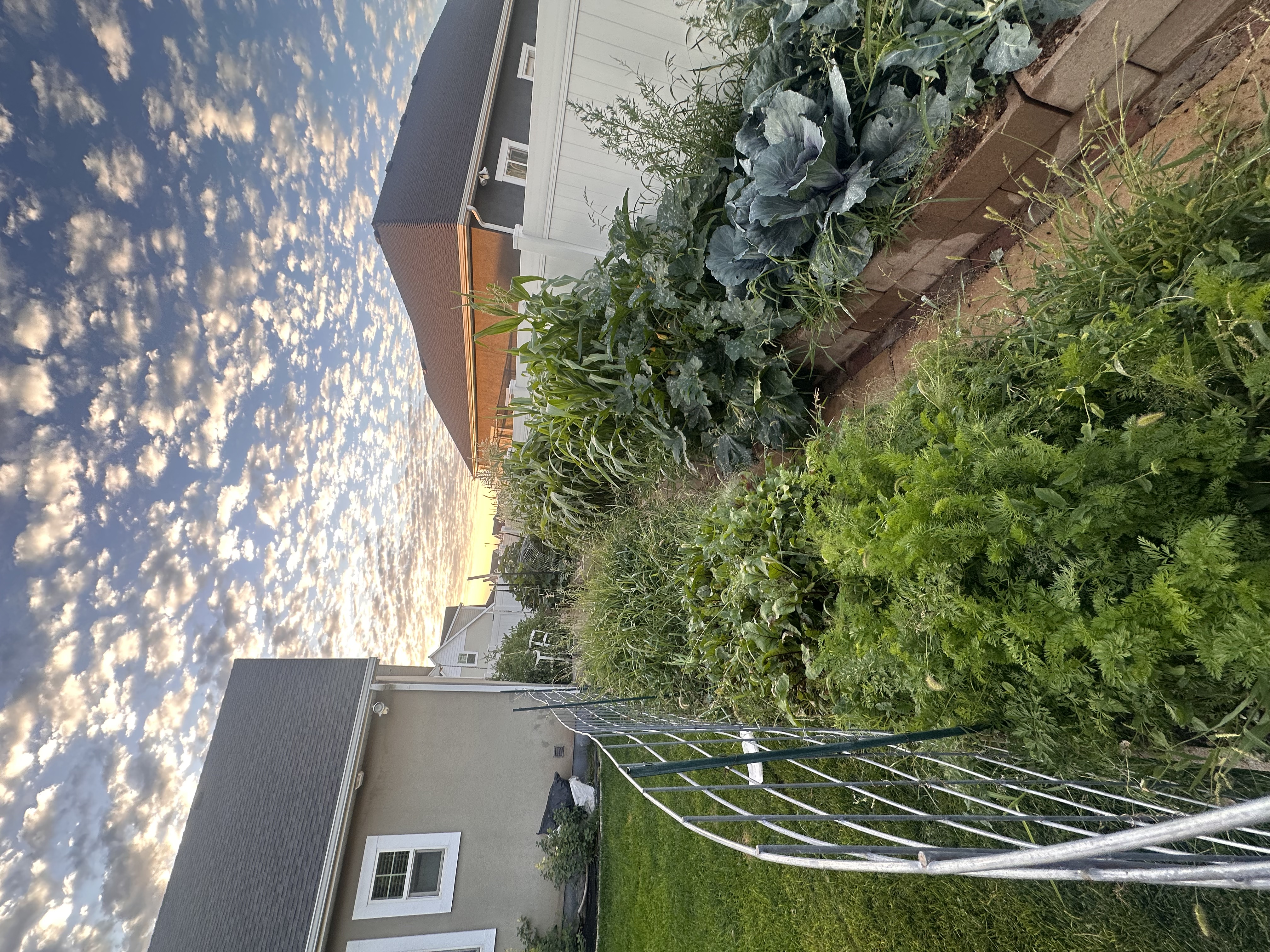 Roosevelt, Utah, 84066, United States, 6 Bedrooms Bedrooms, ,3 BathroomsBathrooms,Residential,For Sale,1976583