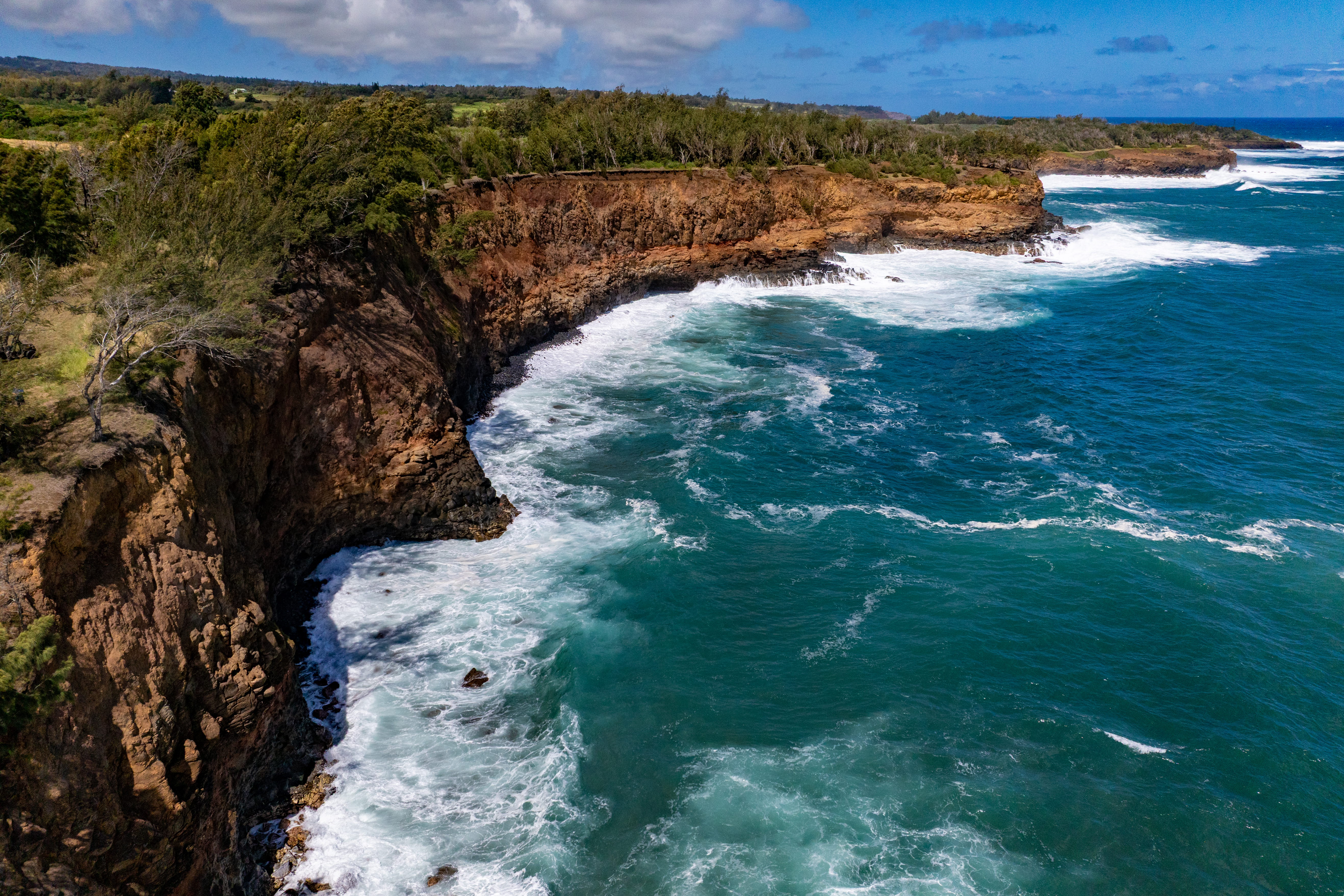  53-4223 Pratt Road, Kapaau, HI 96755 - 物件實景