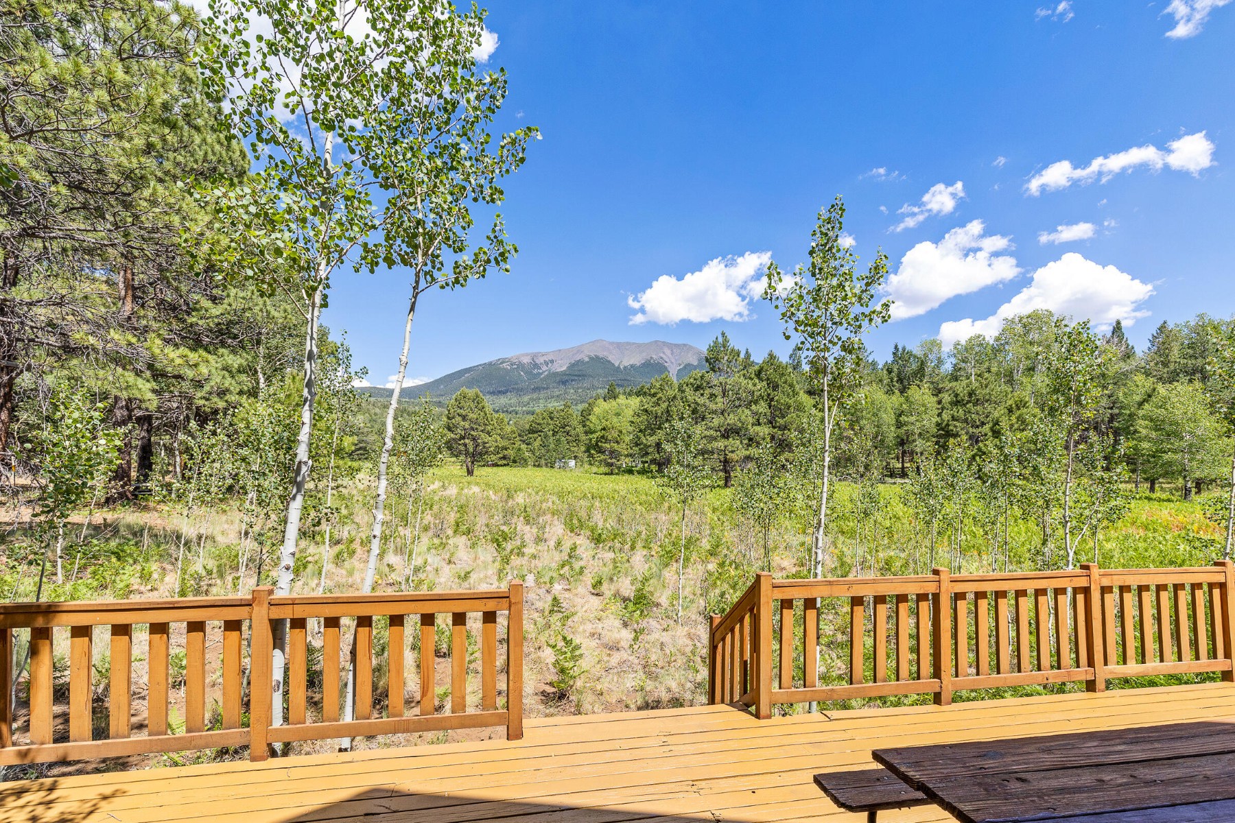  17787 N Forest Service 9004t Road ¦ Flagstaff, AZ - 物件實景