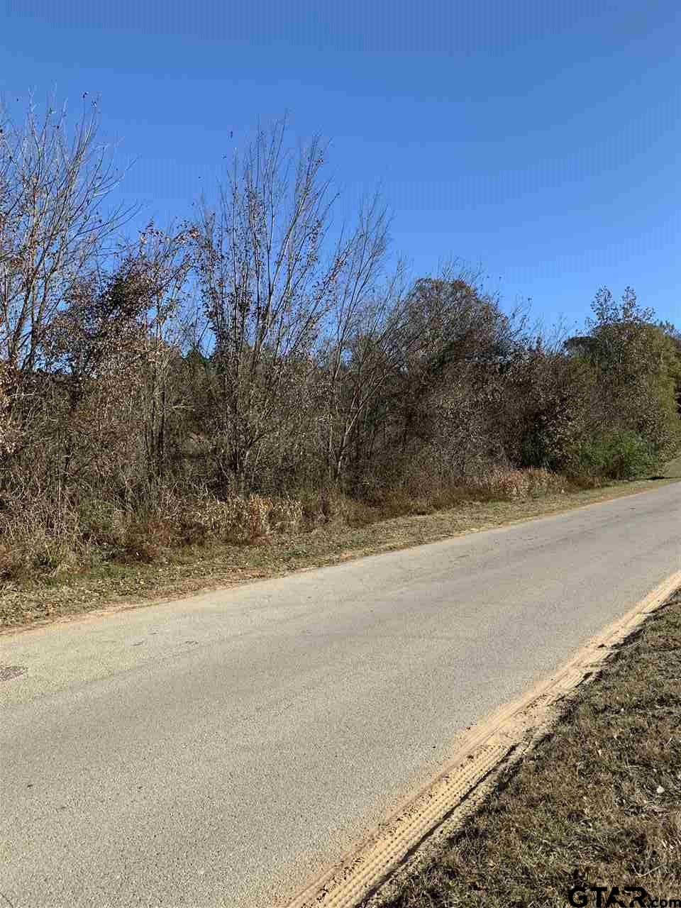 TBD CR 463 & I20, Lindale, Texas, 75771, United States, ,Land,For Sale,TBD CR 463 & I20,1673593