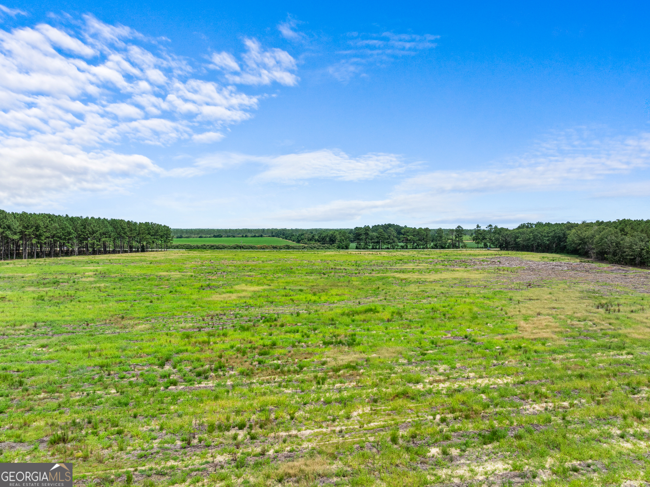 Statesboro, Georgia, 30458, United States, ,Land,For Sale,1911473
