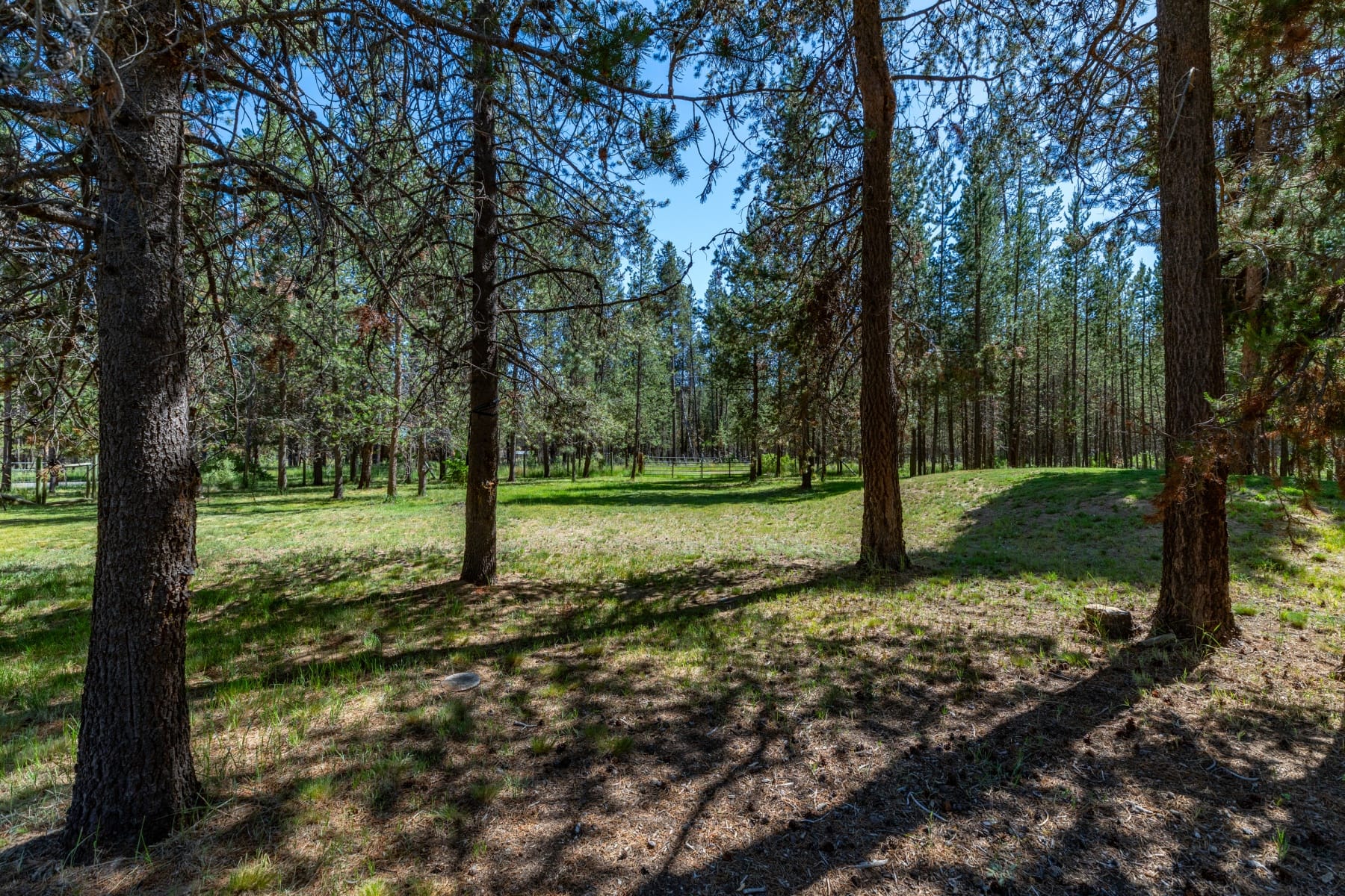  55219 Lazy River Drive Bend, OR 97707 - 物件實景