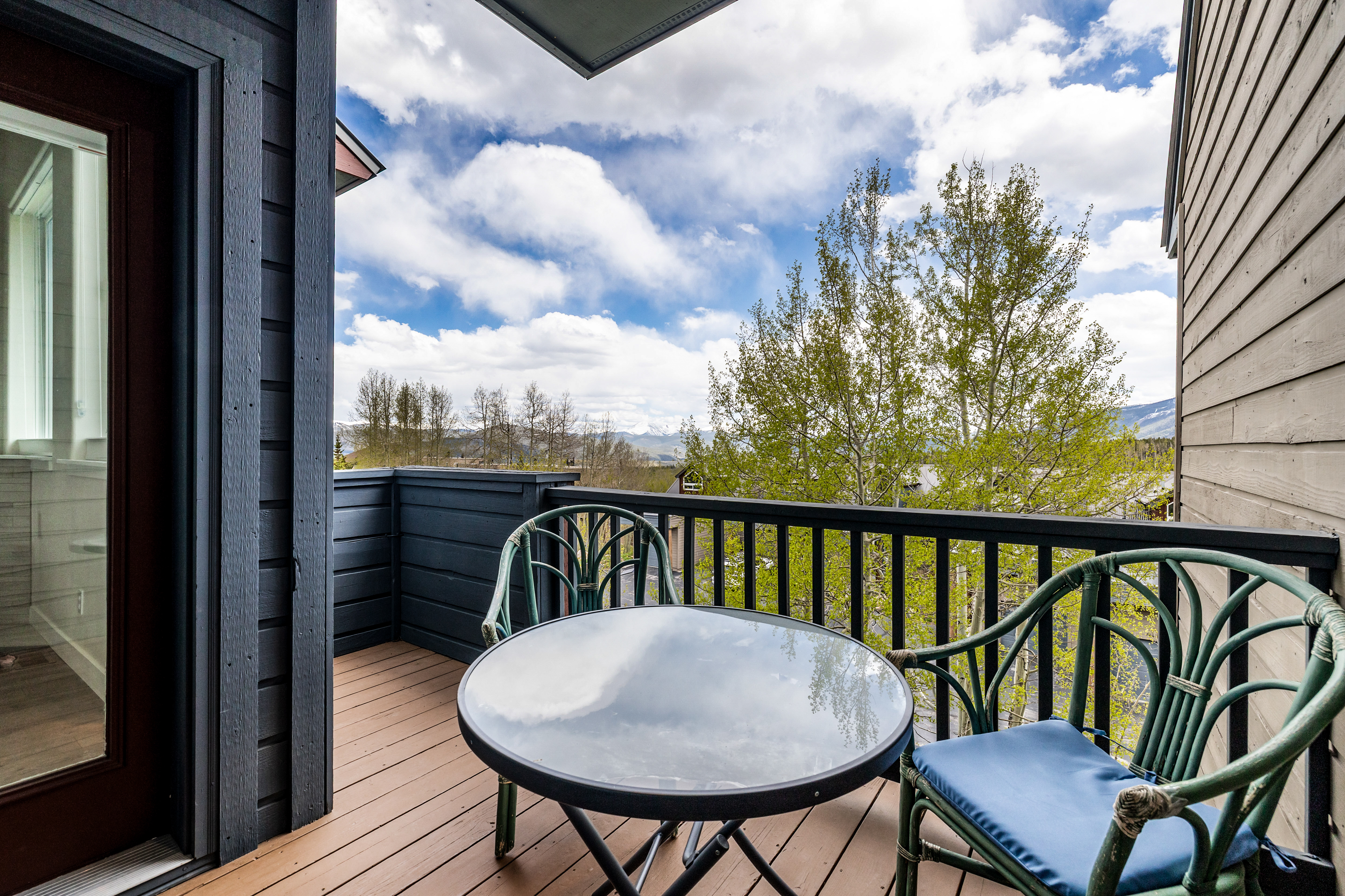  21 Deborah Share B Lane, Silverthorne, CO, 80498 - 物件實景