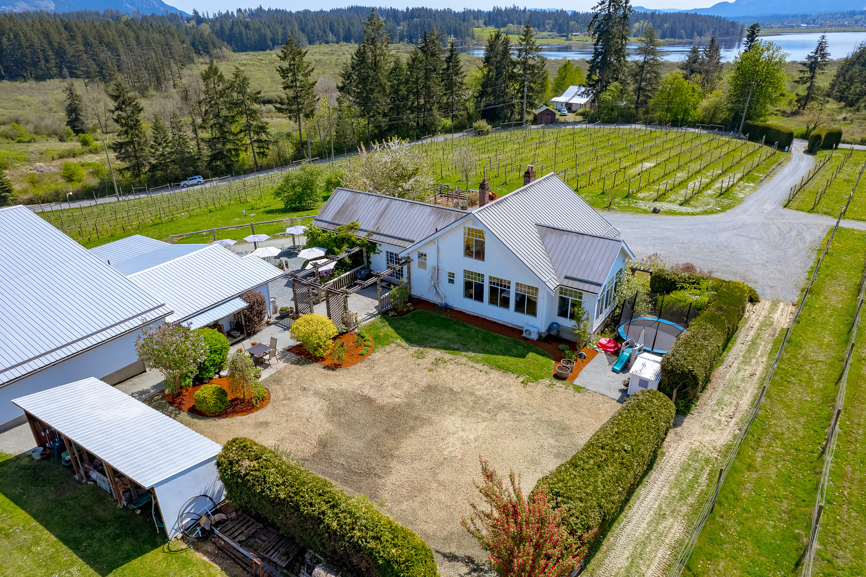  Welcome to Emandare Vineyard - 物件實景