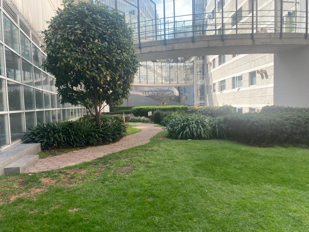 Paseo de la Reforma, Miguel Hidalgo, Ciudad de México, 11910, Mexico, 3 Bedrooms Bedrooms, ,2 BathroomsBathrooms,Residential,For Sale,Paseo de la Reforma,1443555