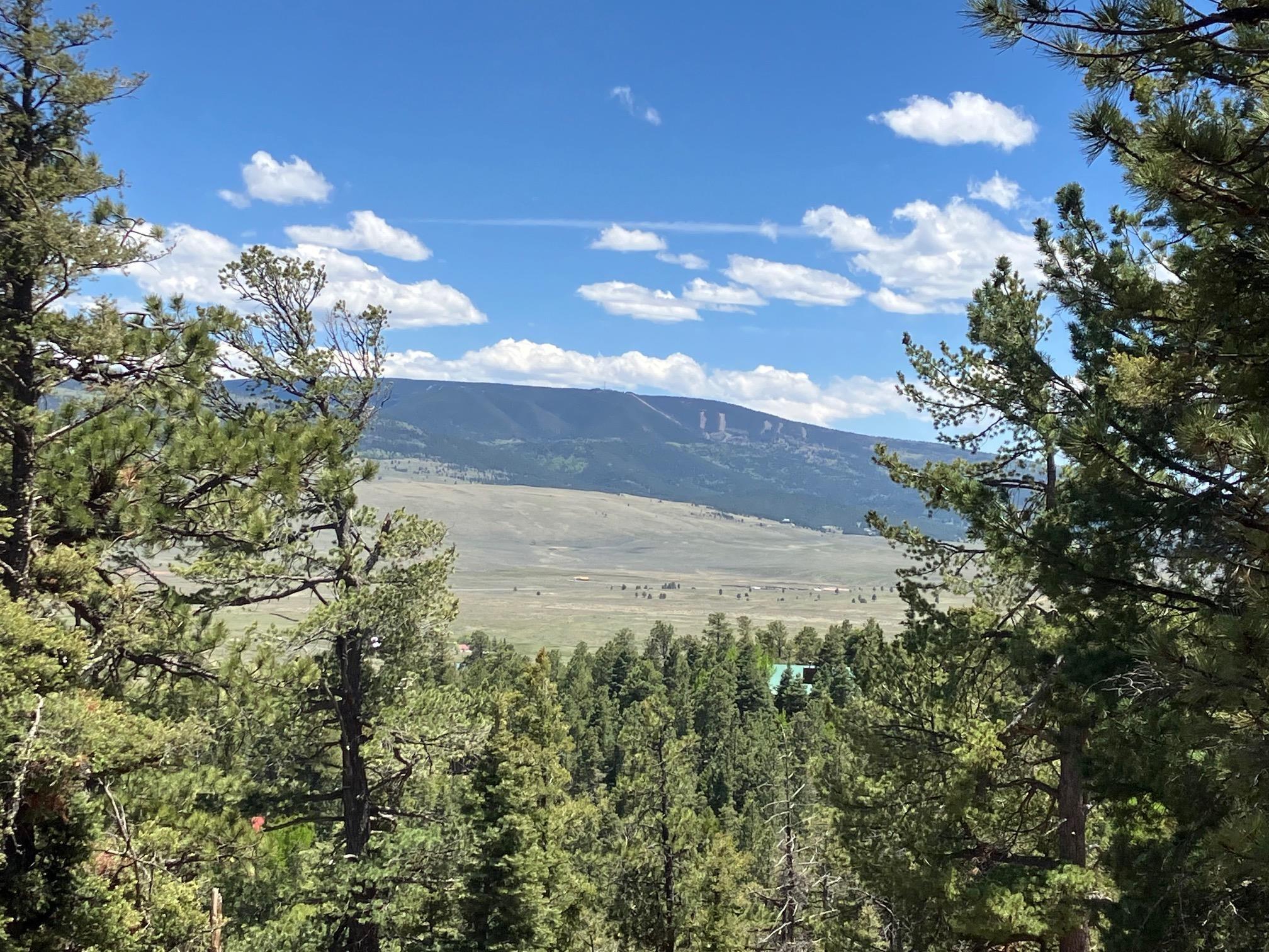 Eagle Nest, New Mexico, 87718, United States, ,Land,For Sale,1752253