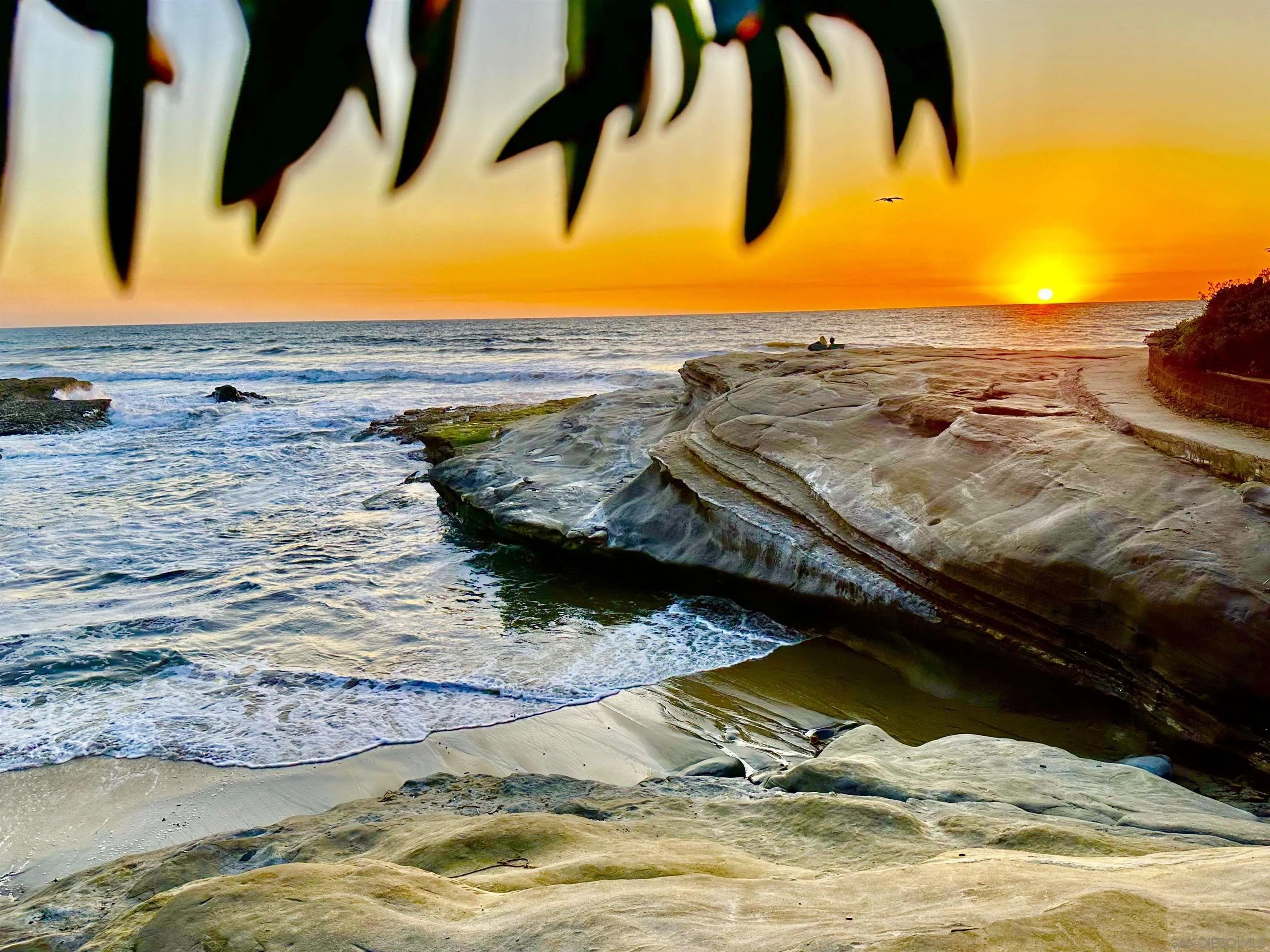 San Diego, California, 92107, United States, 4 Bedrooms Bedrooms, ,Residential,For Sale,1907414