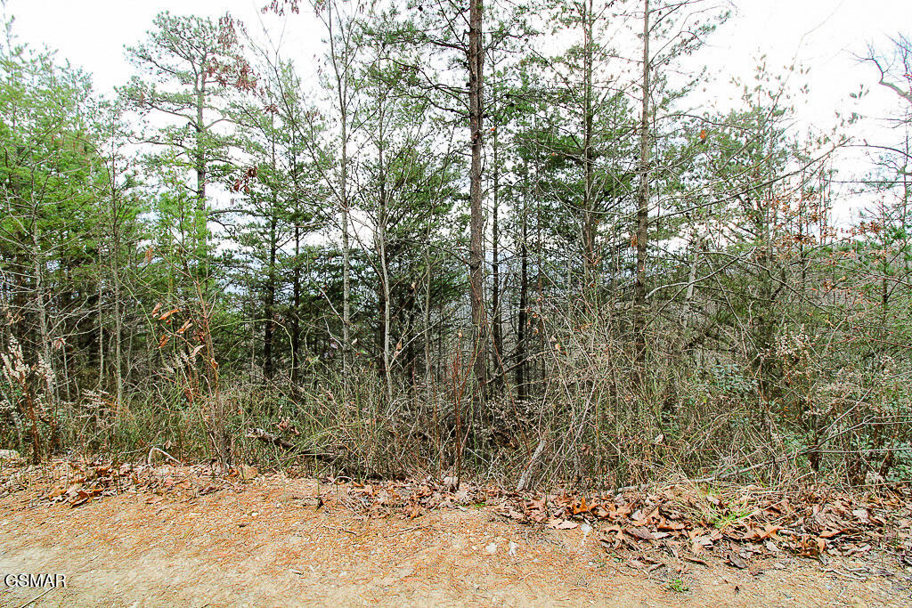 Sevierville, Tennessee, 37876, United States, ,Land,For Sale,2009102