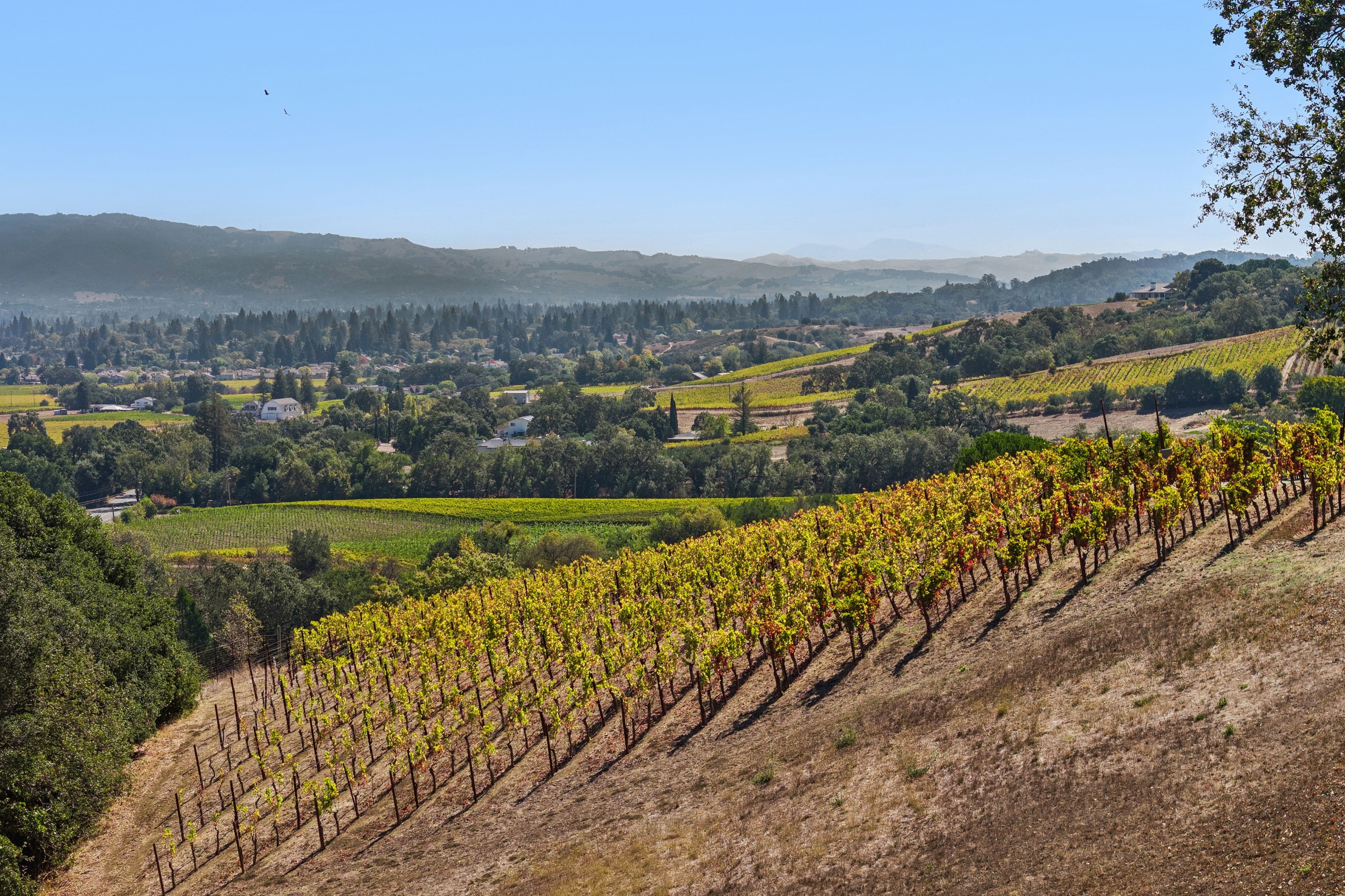  Exceptional Napa Valley Legacy Property - 物件實景