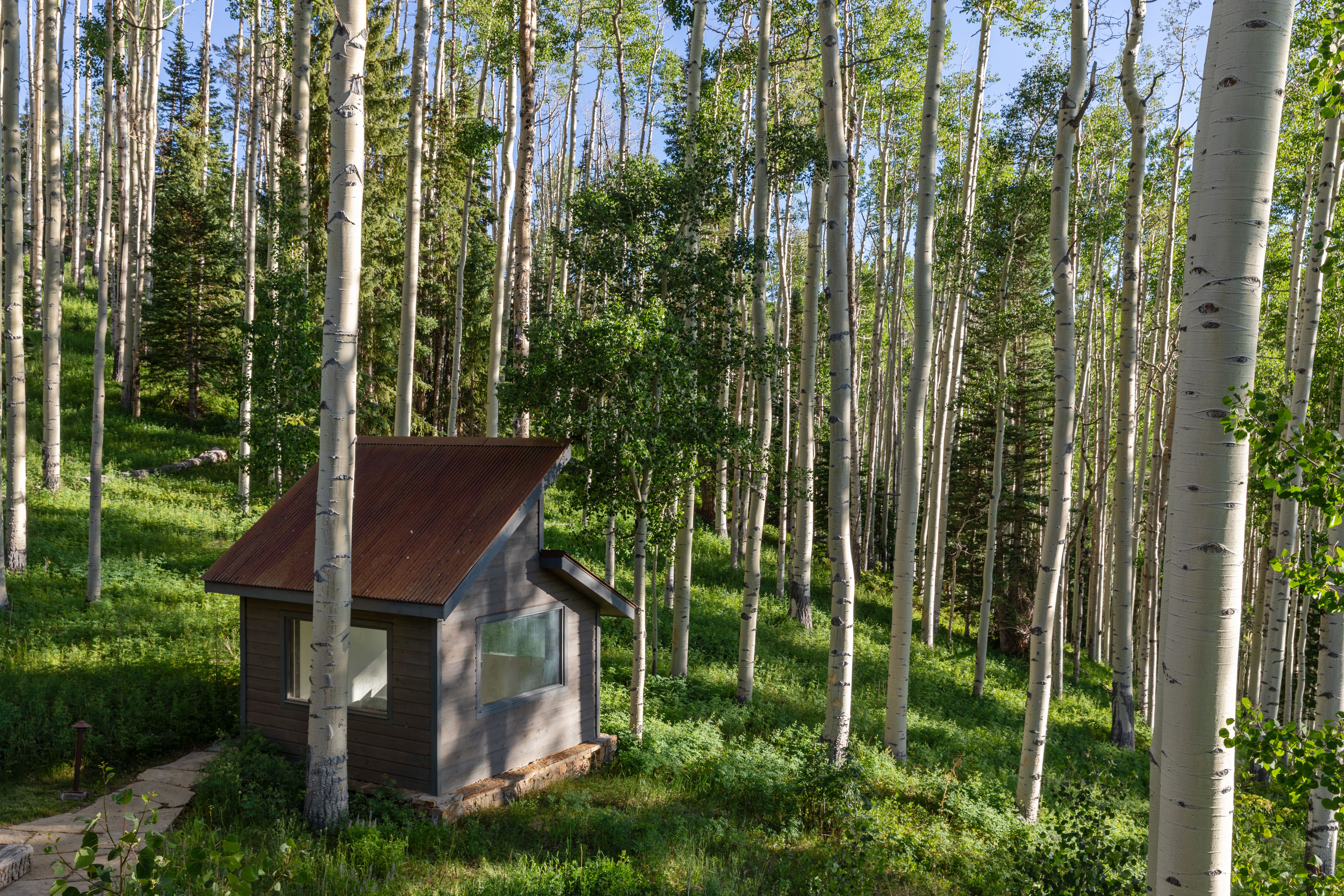  Mountain Escape Minutes from Telluride Ski Resort - 物件實景