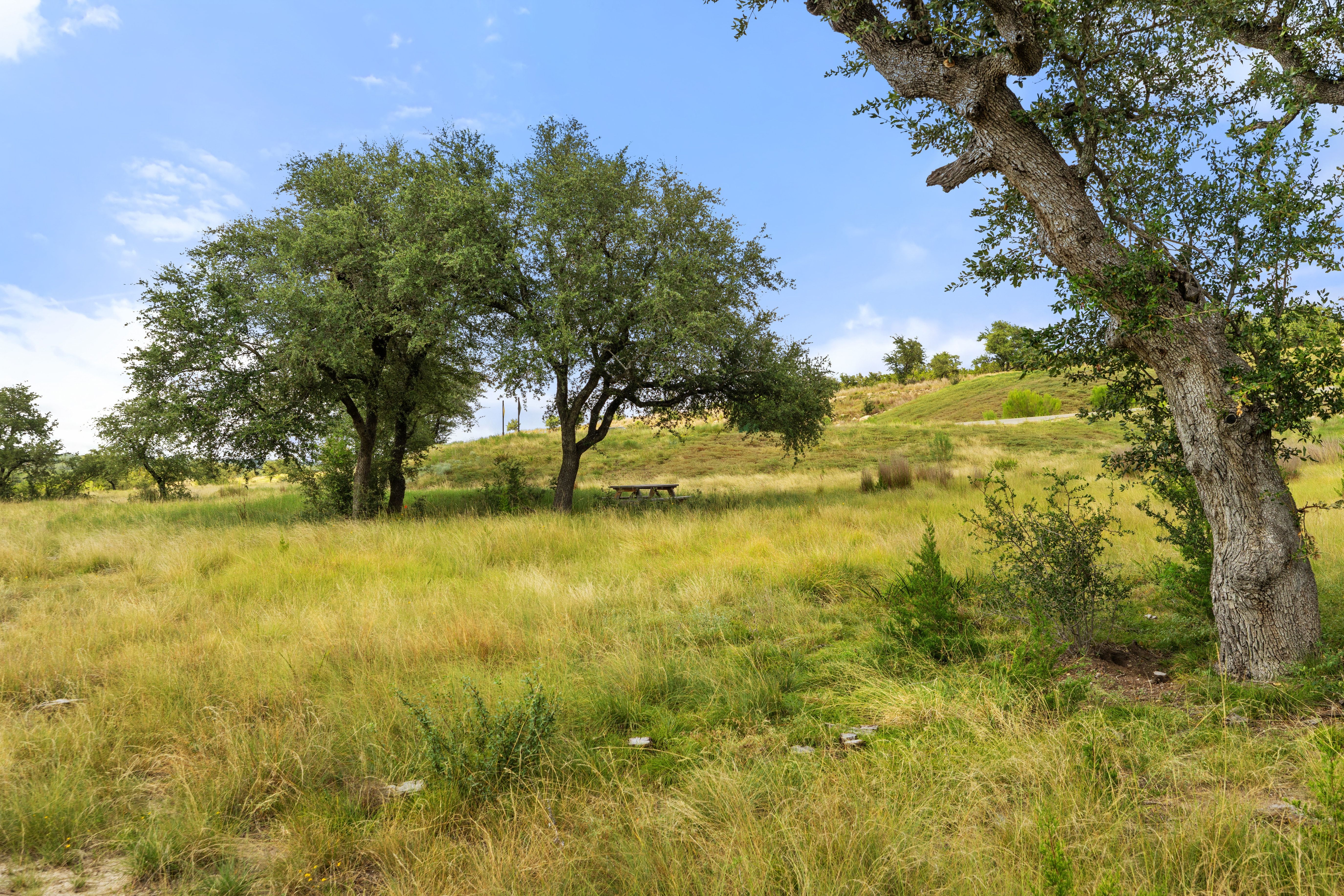  Dream Home Worthy 5 Acre Lot - 147 East Flying Owl Drive - 物件實景