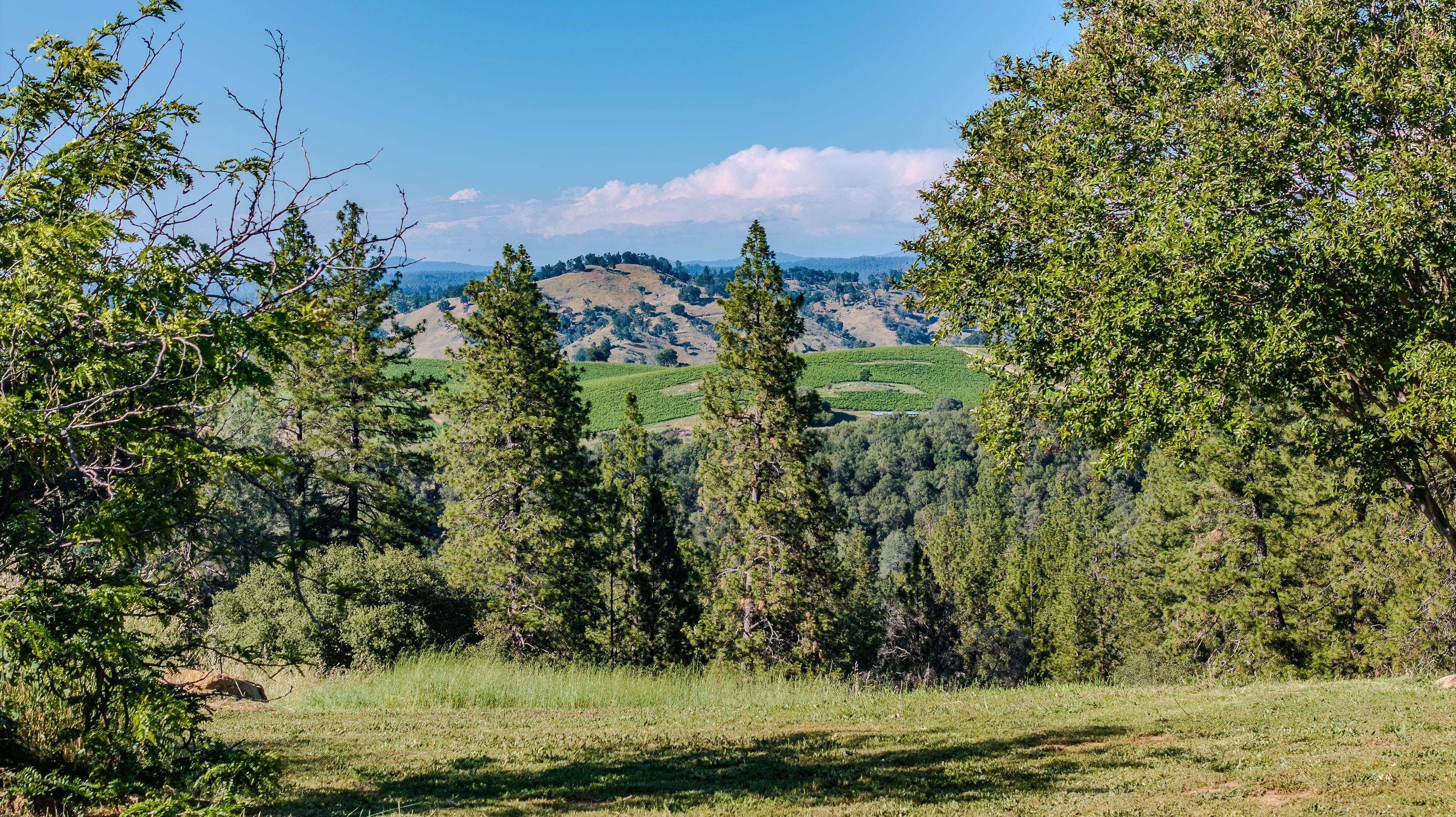  12551 Steiner Road, Plymouth, CA 95669 - 物件實景