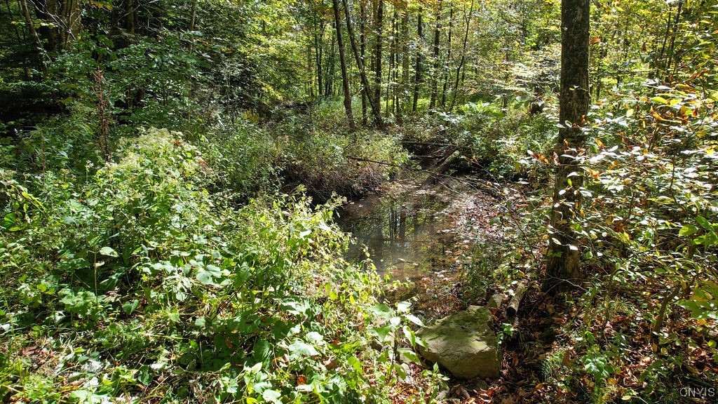 Schroeppel, New York, 13069, United States, ,Land,For Sale,1985668