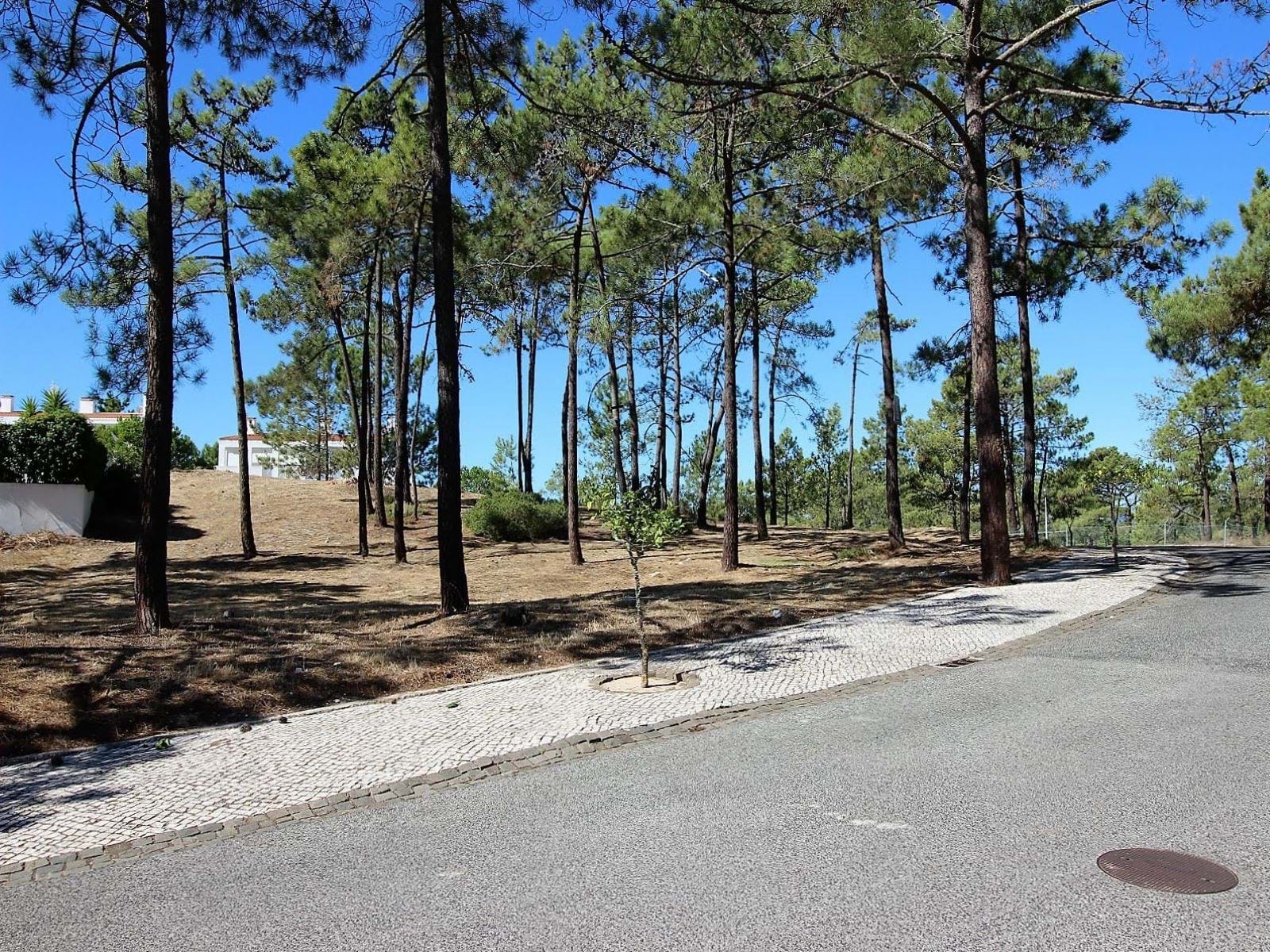 Grândola, Setúbal, 7570-779, PT, ,Land,For Sale,1699910
