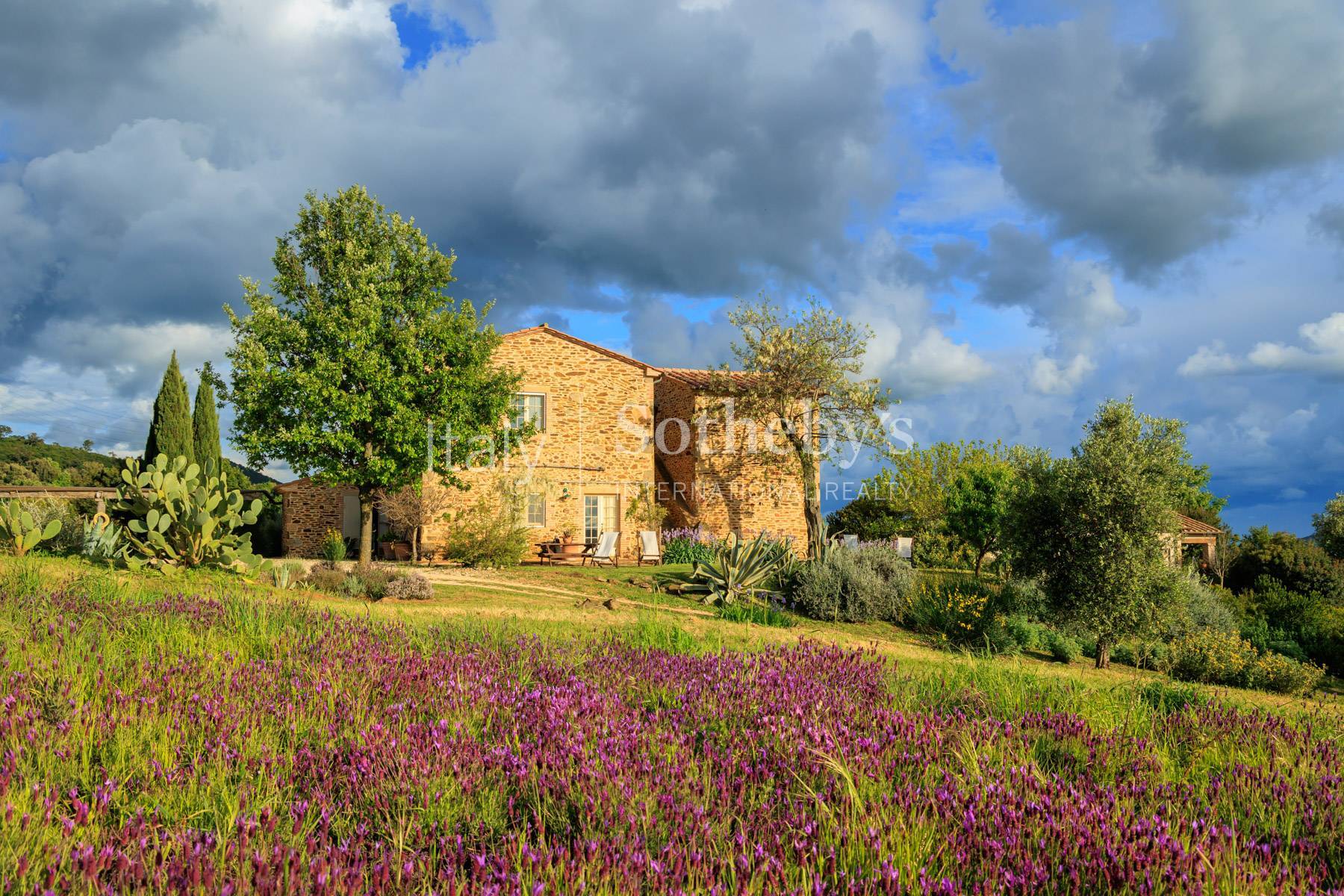  Magnificent estate close to Capalbio - 物件實景