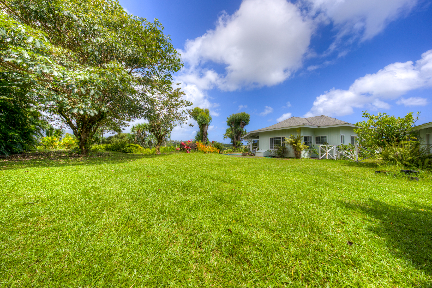 5250-D Kahiliholo Rd, Kilauea, HI, 96754 - 物件實景