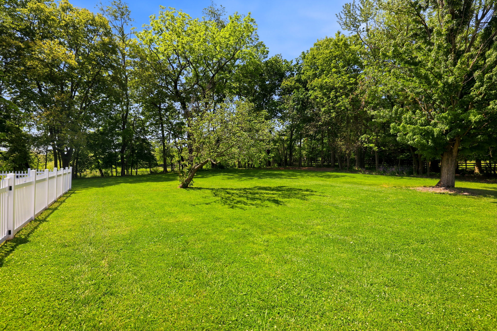  39423 Irish Corner Road, Lovettsville, VA, 20180 - 物件實景