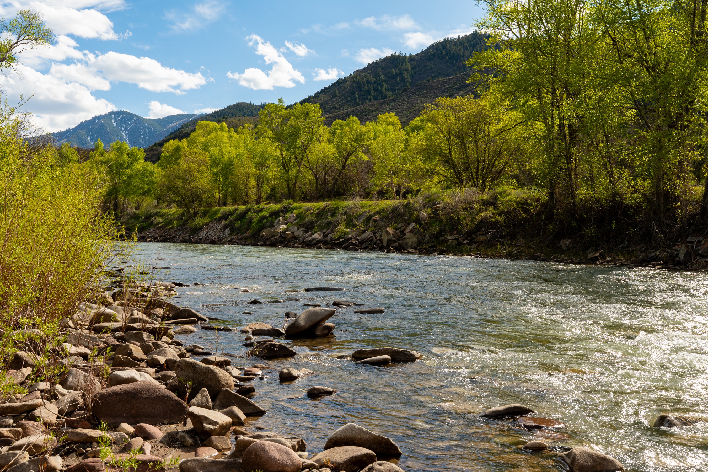  357 Crystal Lane, Carbondale, CO, 81623 - 物件實景