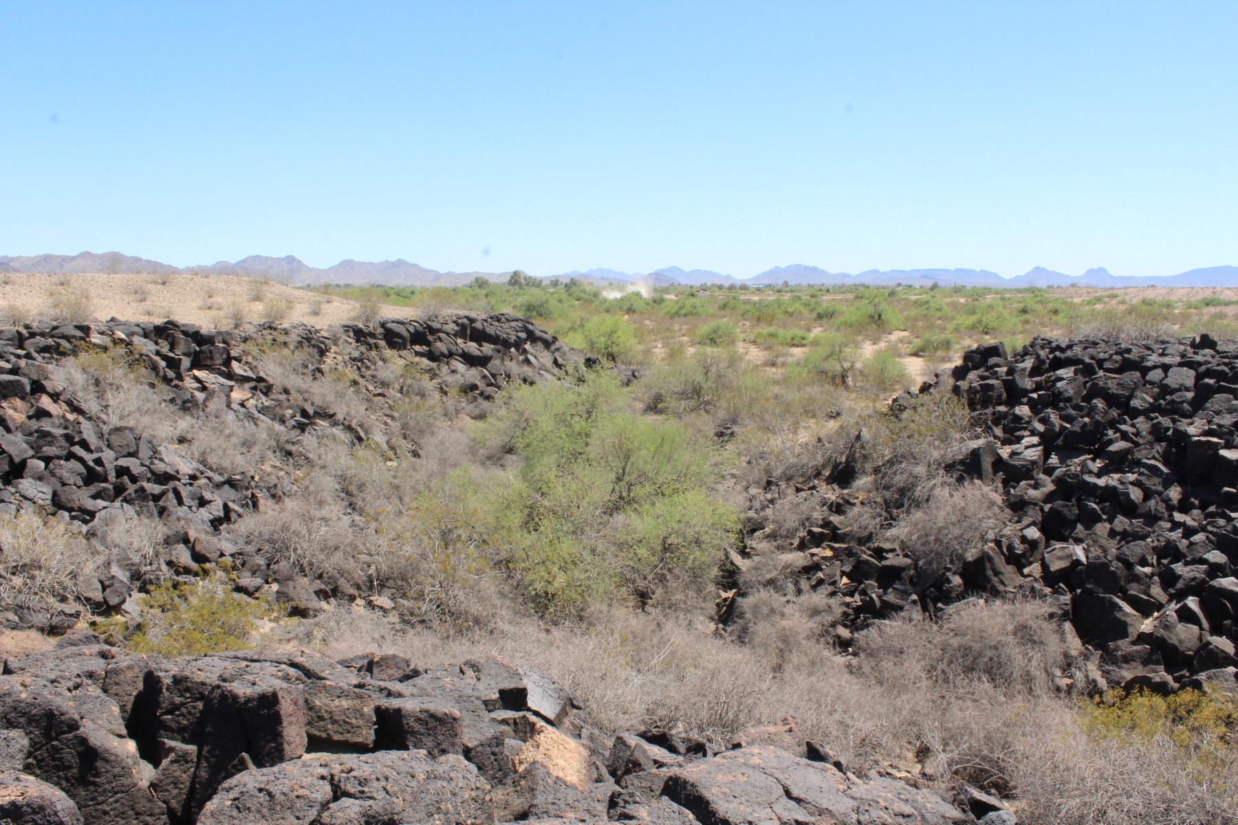  11 S 337th Avenue, Arlington, AZ, 85322 - 物件實景