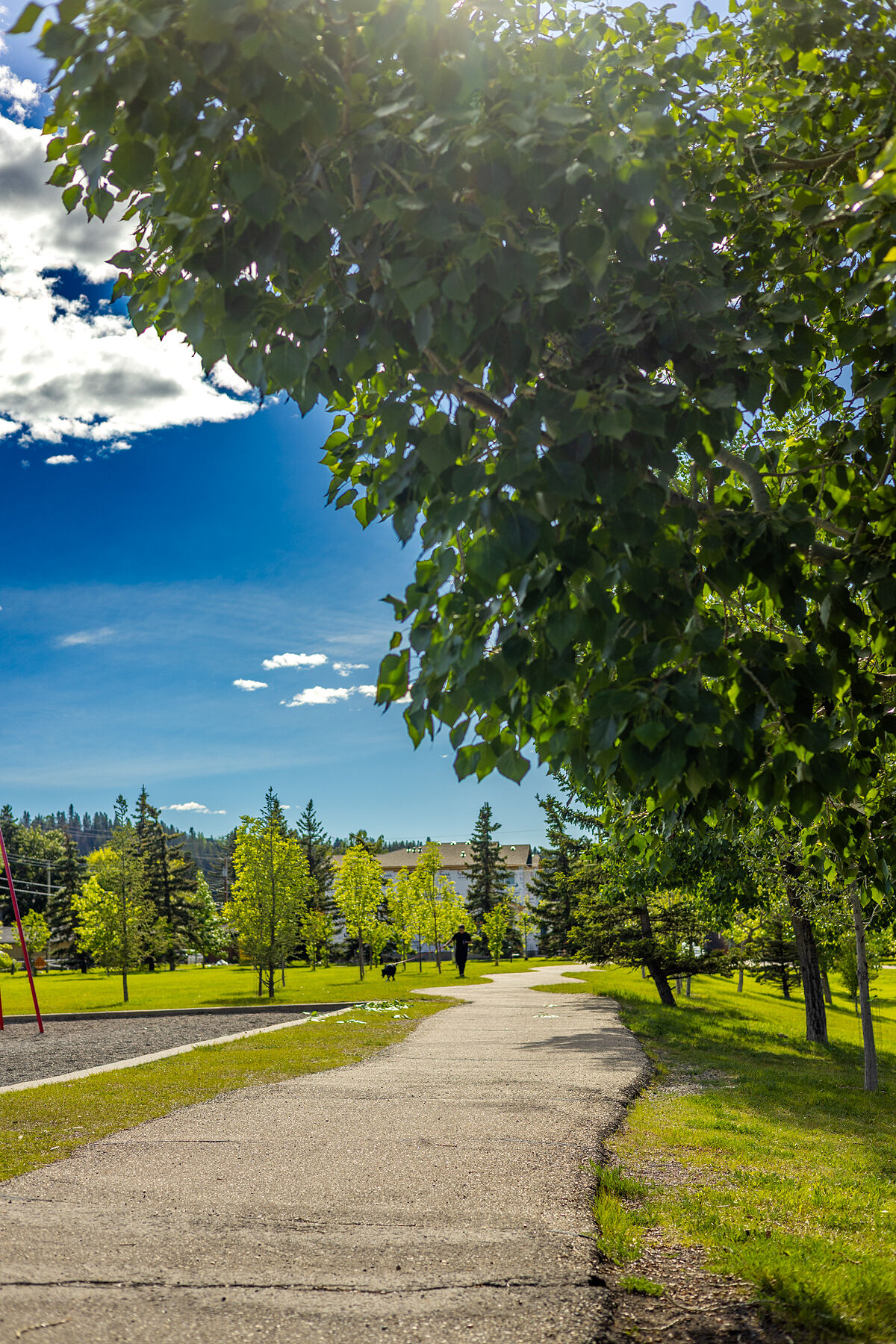  Calgary, Calgary and Foothills - 物件實景