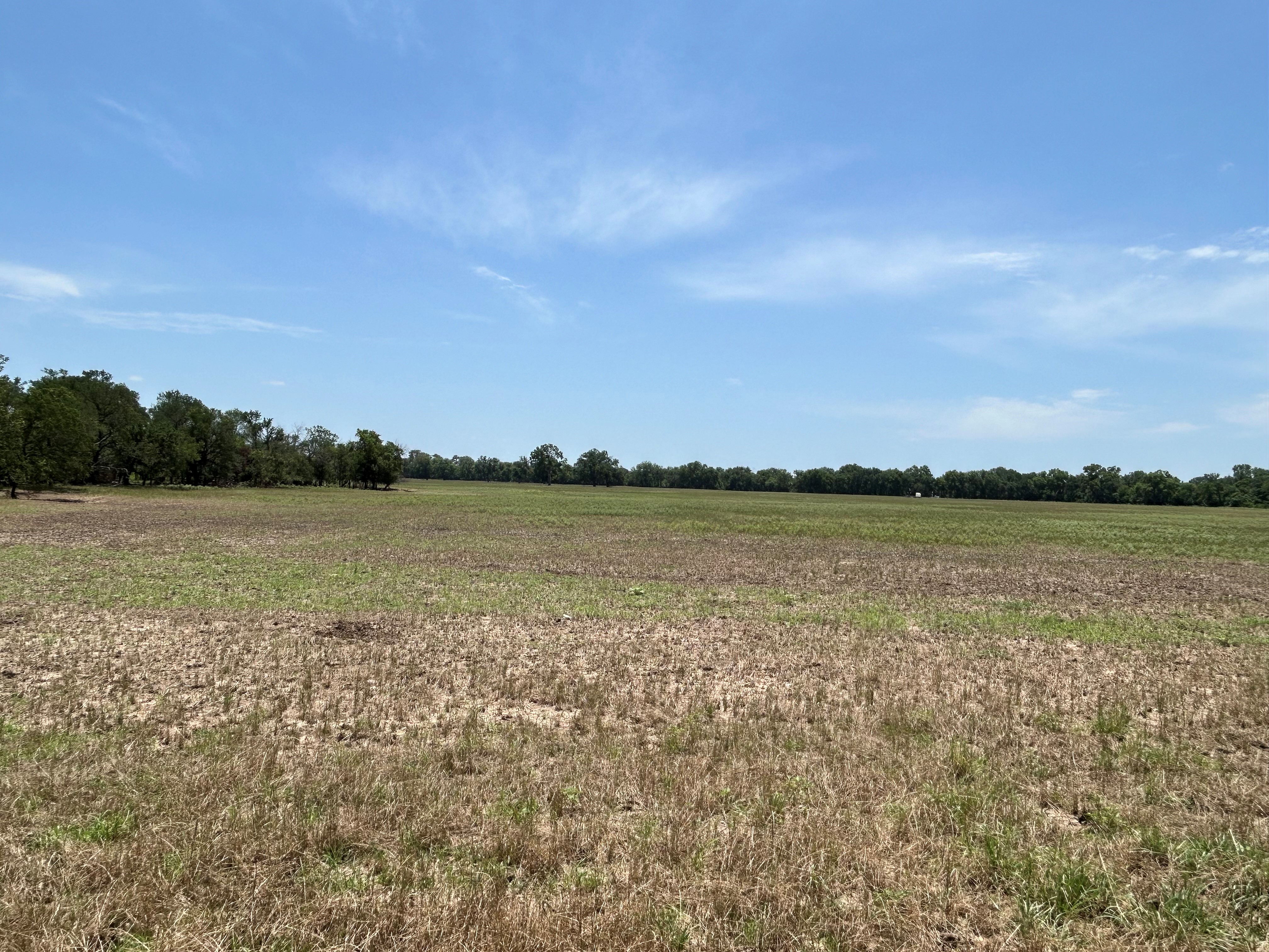 Bridgeport, Texas, 76426, United States, 4 Bedrooms Bedrooms, ,3 BathroomsBathrooms,Residential,For Sale,1701236