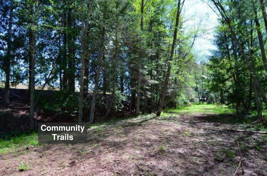 Sagle, Idaho, 83860, United States, ,Land,For Sale,1983081