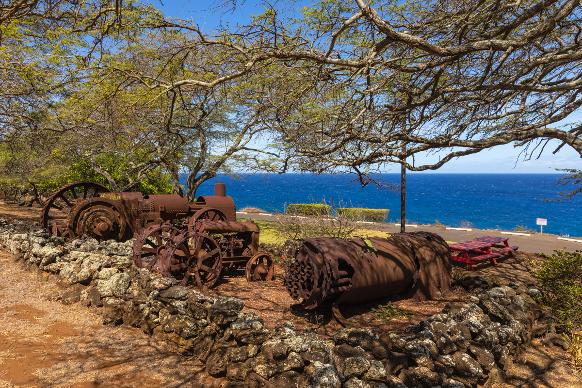 Hawi, Hawaii, 96719, United States, ,Land,For Sale,1997291