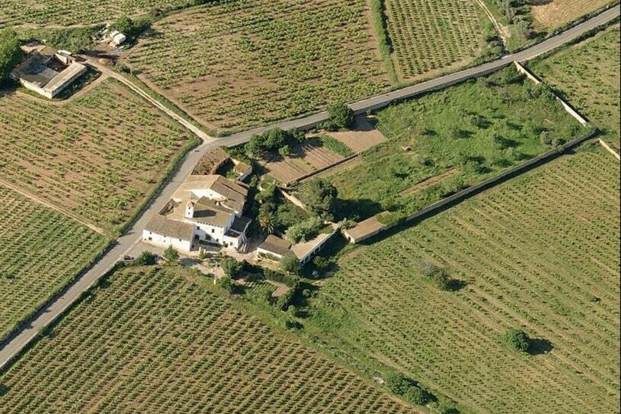  Masia with Vineyards and 3.13 Hectares in Vilanova i la Geltrú - 物件實景