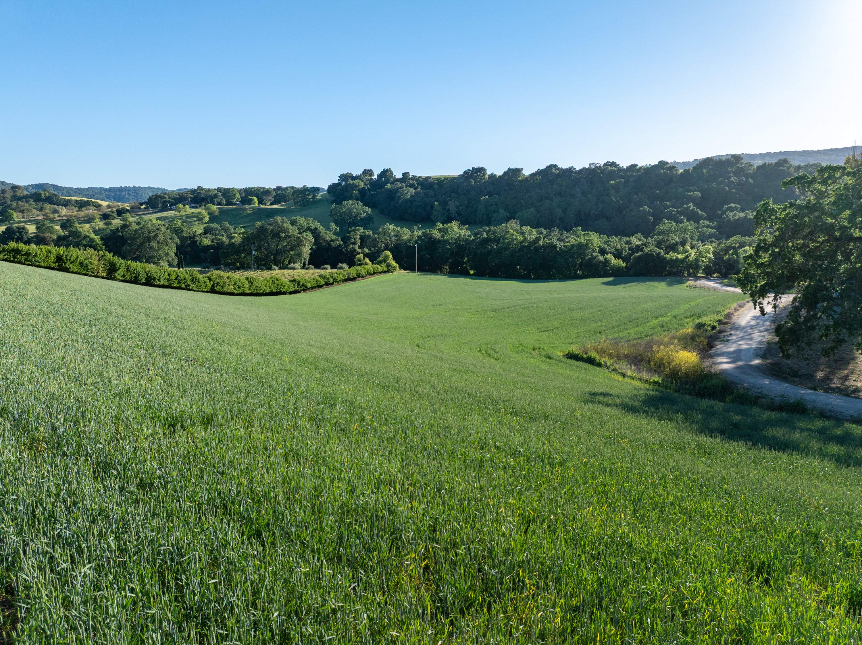  5250 & 5260 - 物件實景