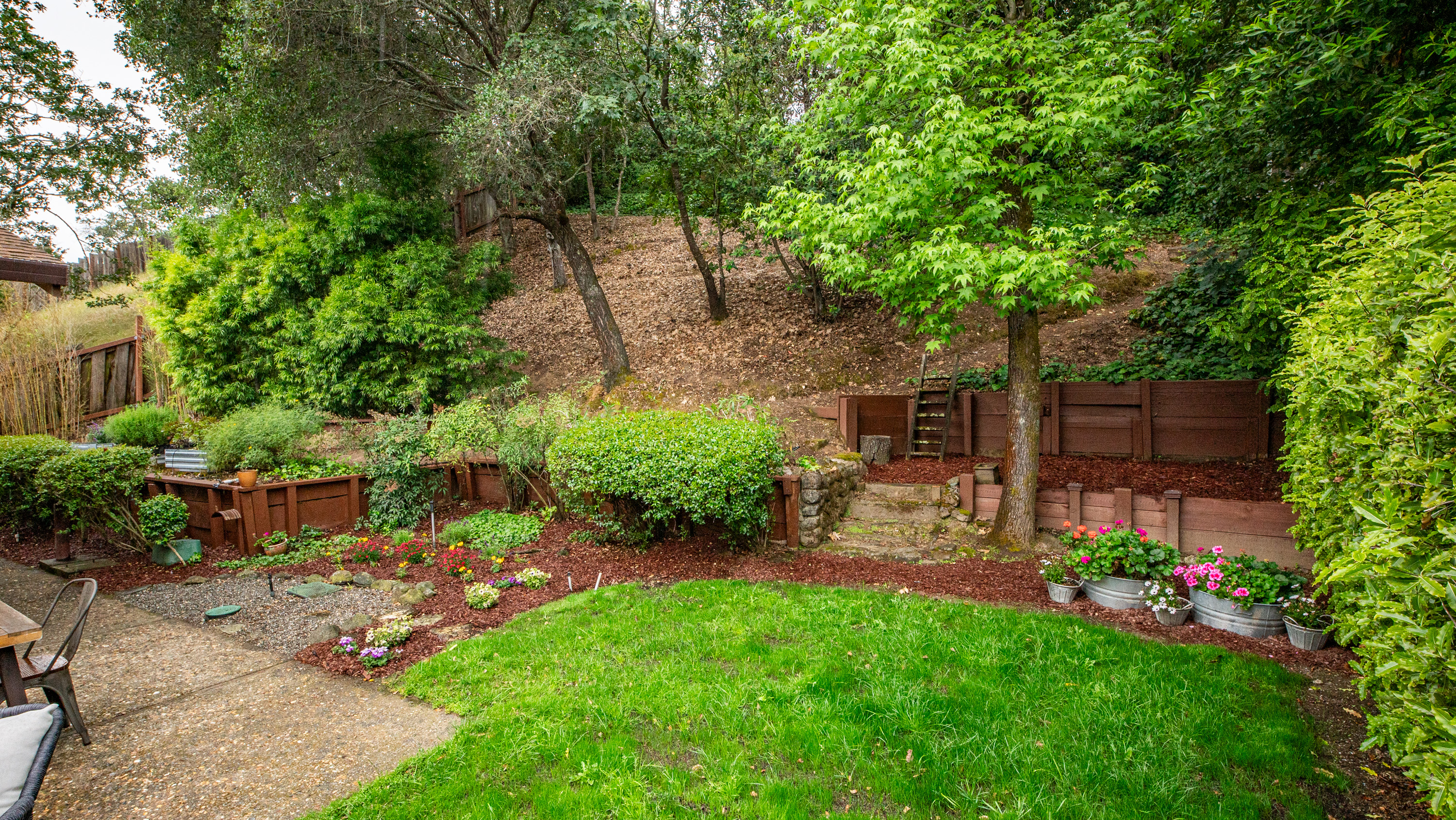  Expanded Single Story Home in Desirable Southern Novato - 物件實景
