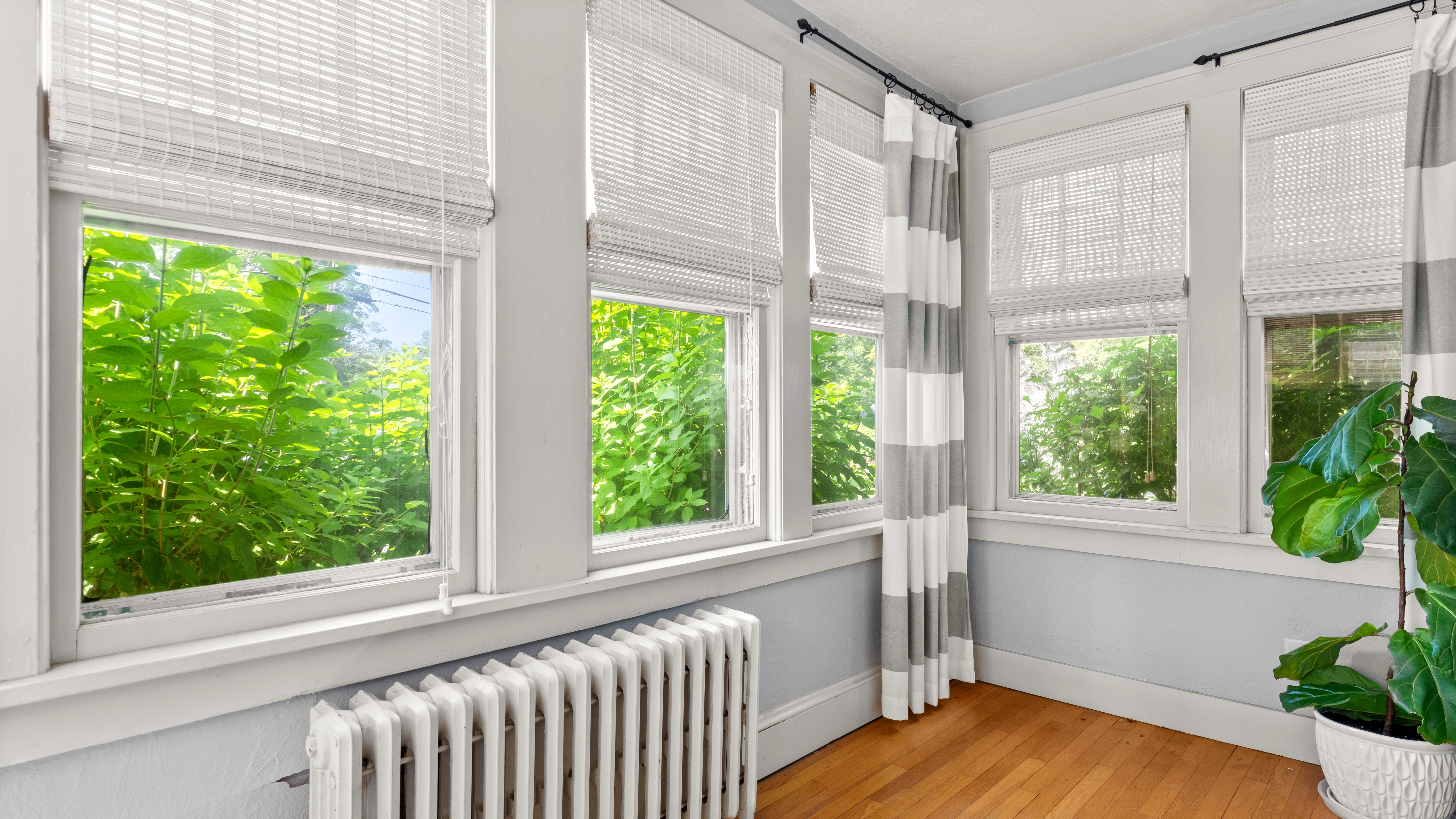  Turnkey Colonial Charm in Southeast Pittsfield - 物件實景