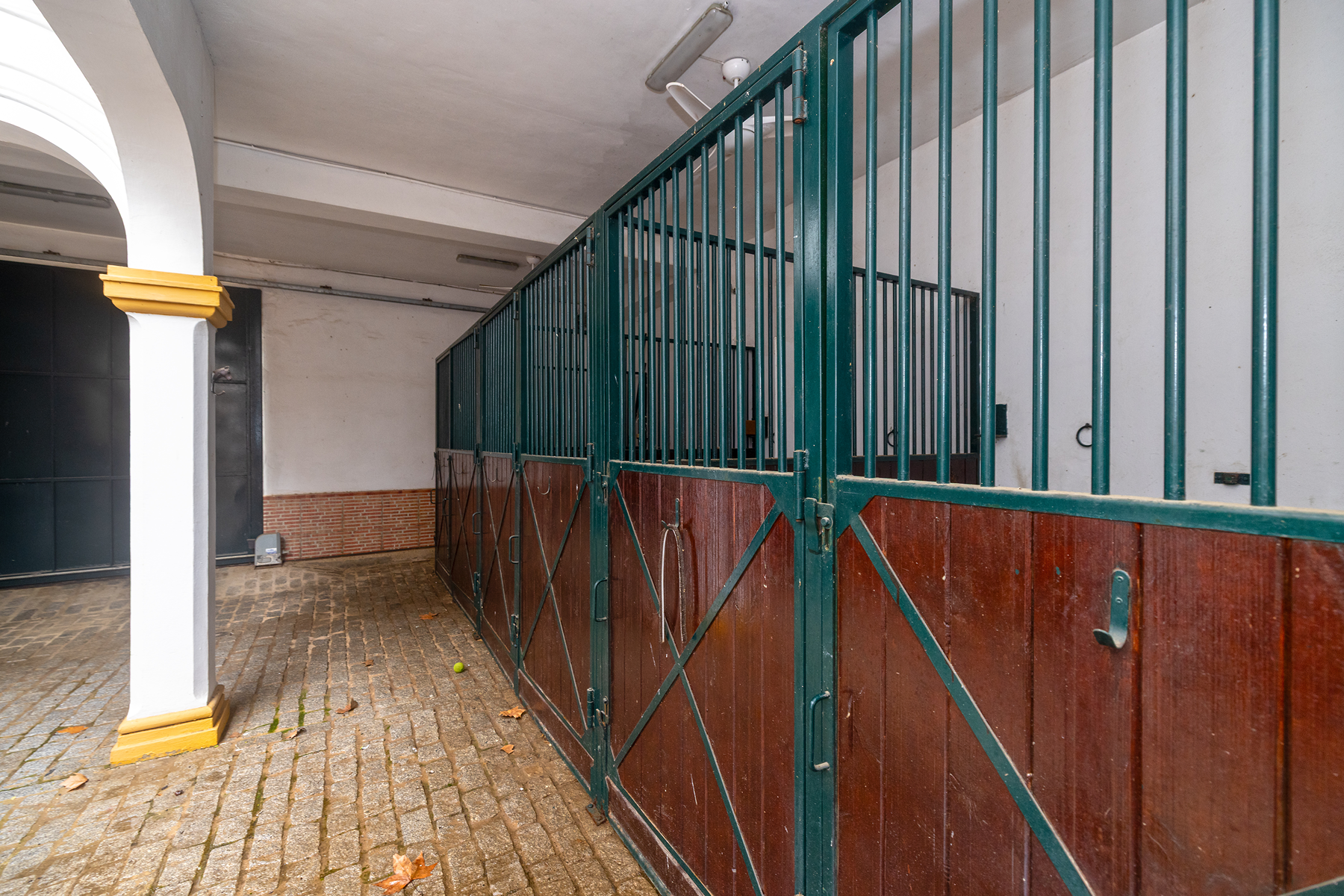  Detached home with character and equestrian area in El Rocío - 物件實景