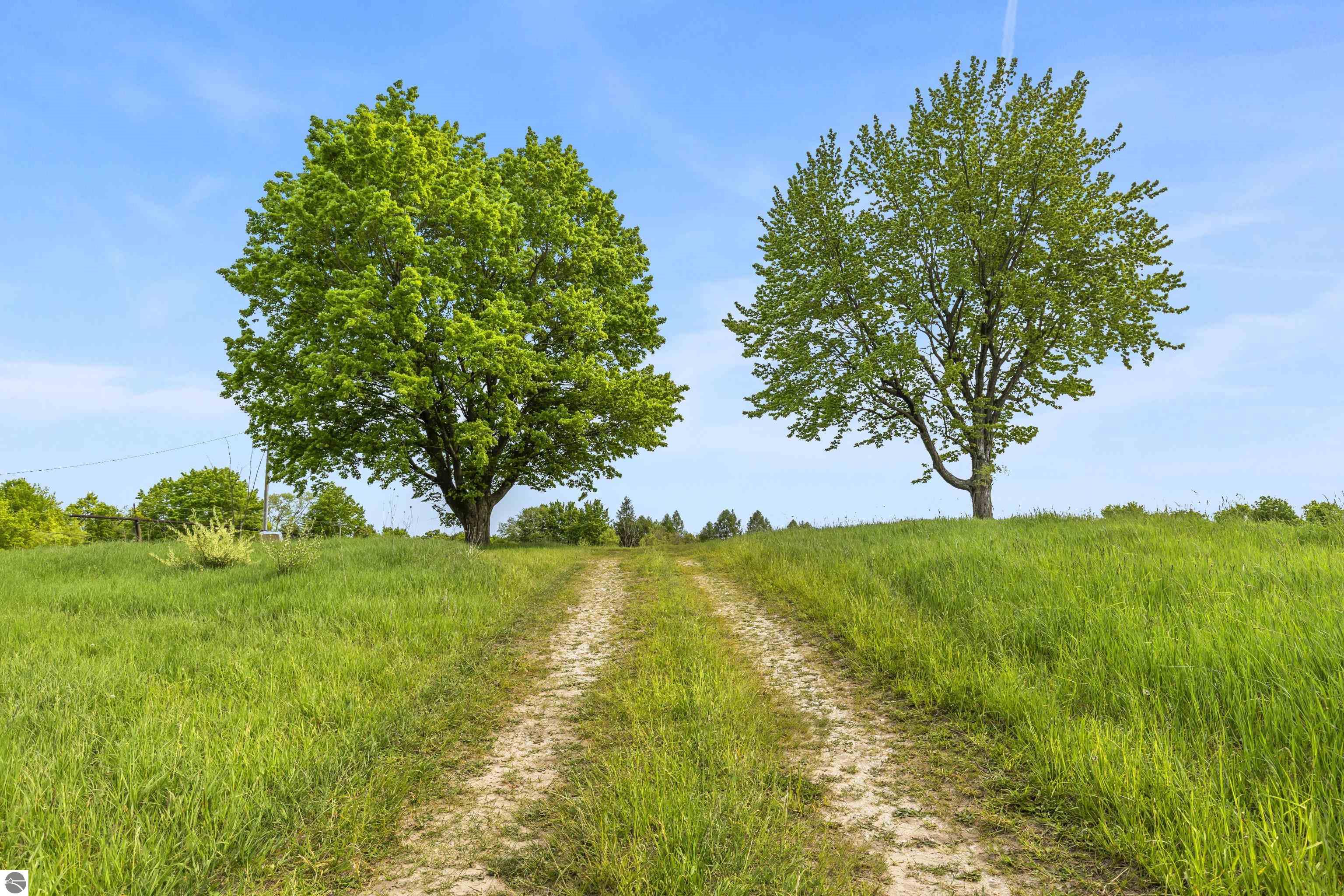 Beulah, Michigan, 49617, United States, ,Land,For Sale,1938552