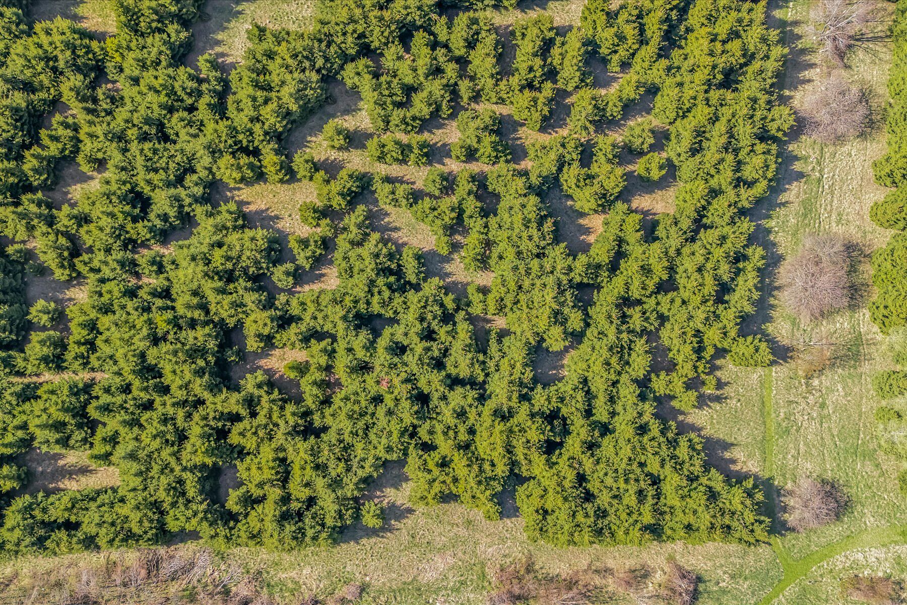  88-Acre Mulmur Estate - 物件實景