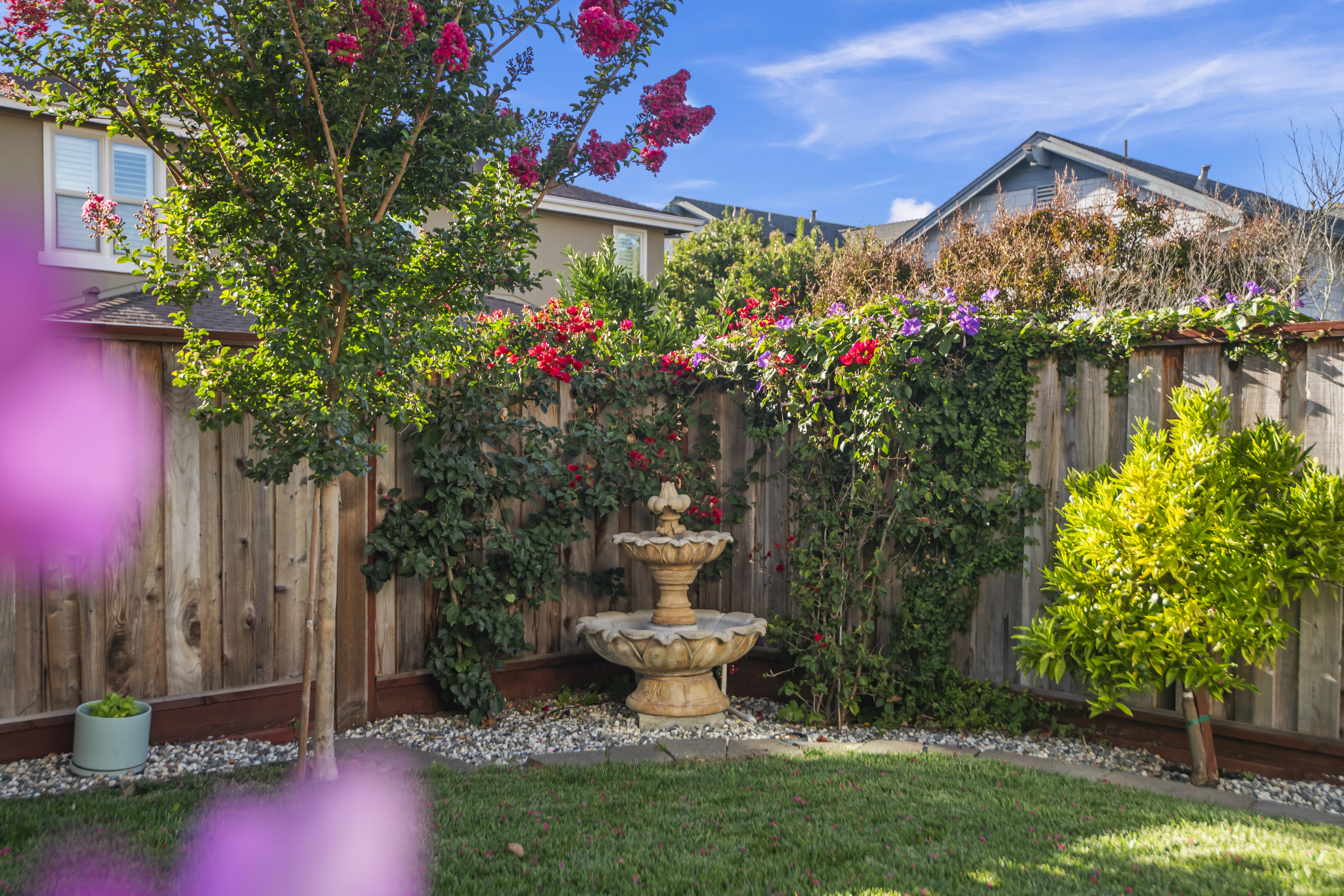  Spacious, Turnkey Living in the Heart of West Petaluma - 物件實景