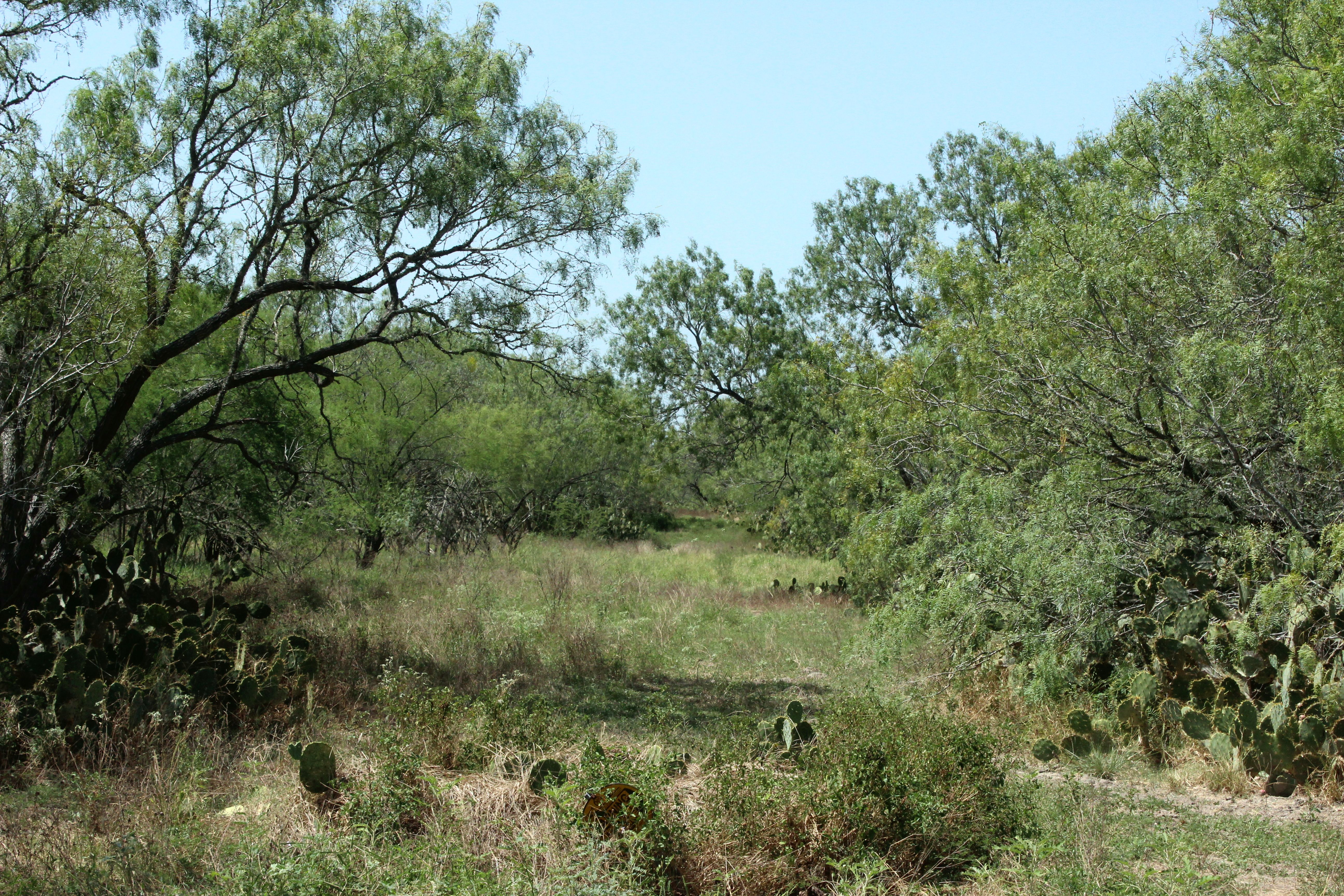  1,947-Acre Neuces West Ranch - 物件實景