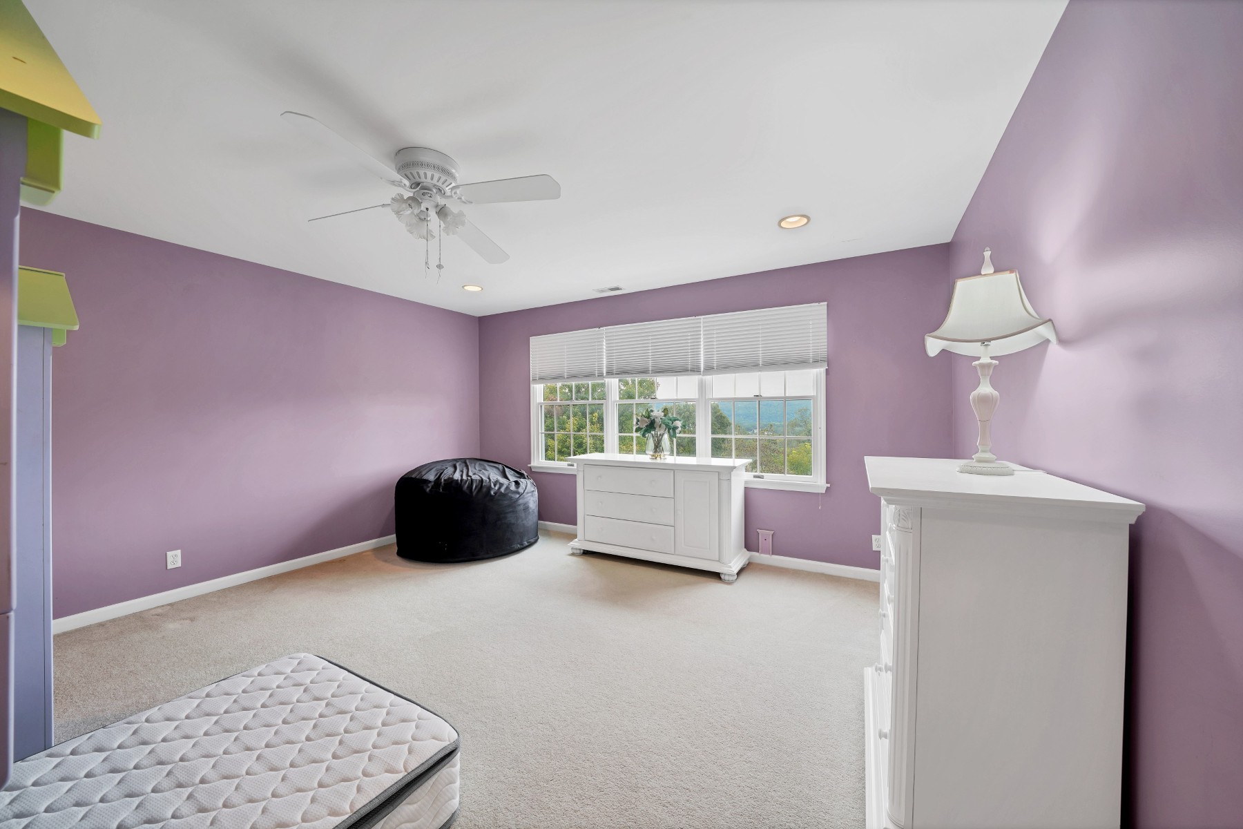  Custom Built Colonial Home with Mountain Views and Exceptional Outdoor Setting - 物件實景
