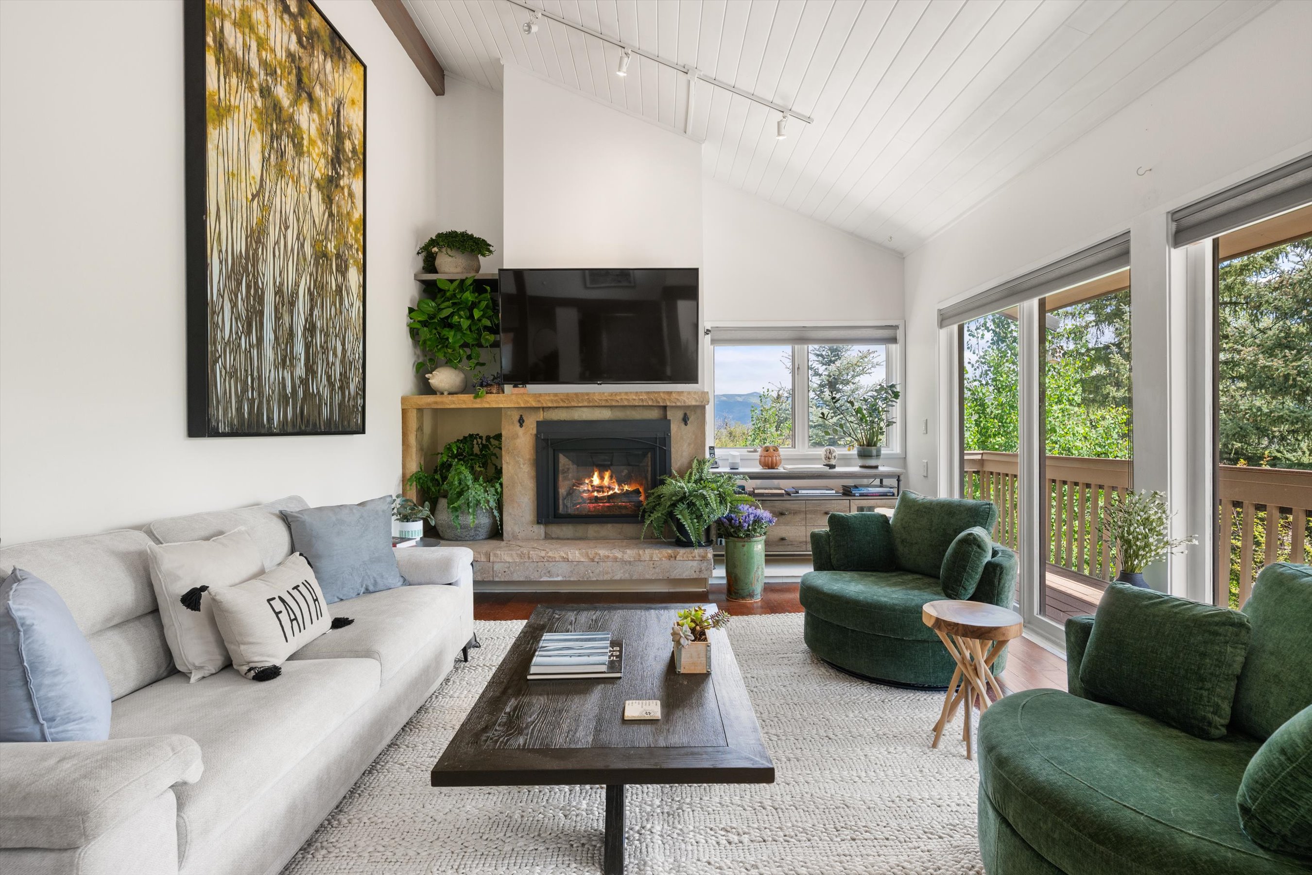  100 Terrace Lane, Snowmass Village, CO 81615 - 物件實景
