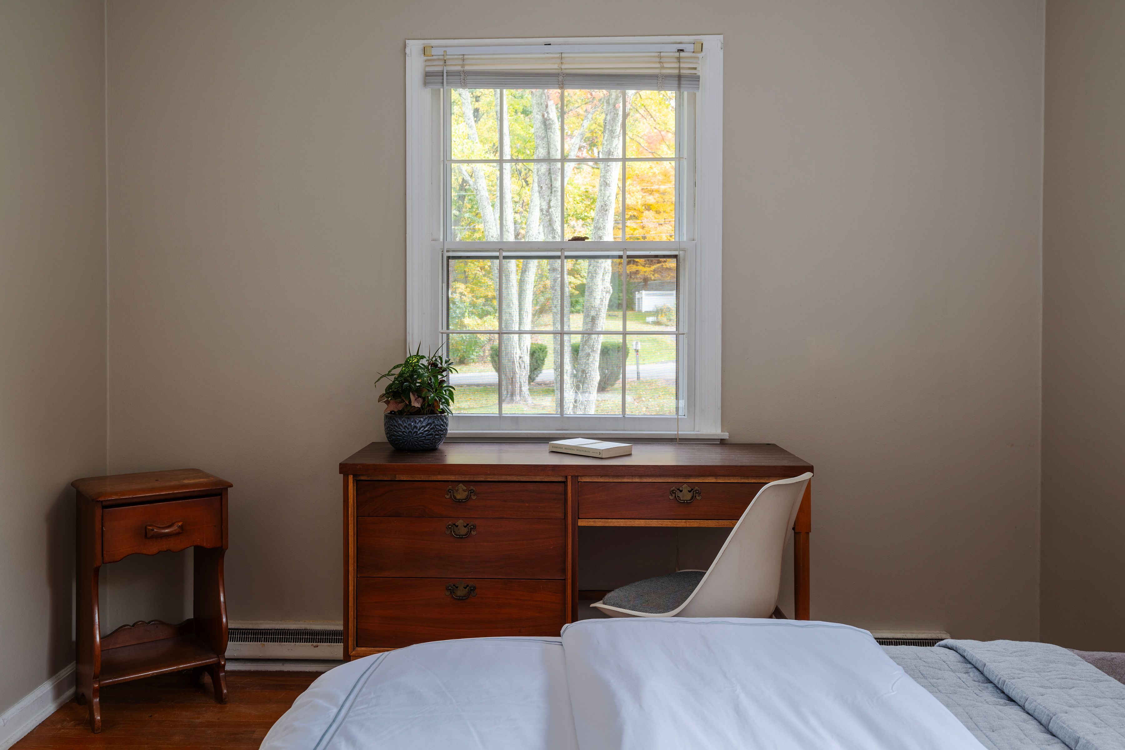  7 Birch Street, West Hurley, NY 12491 - 物件實景