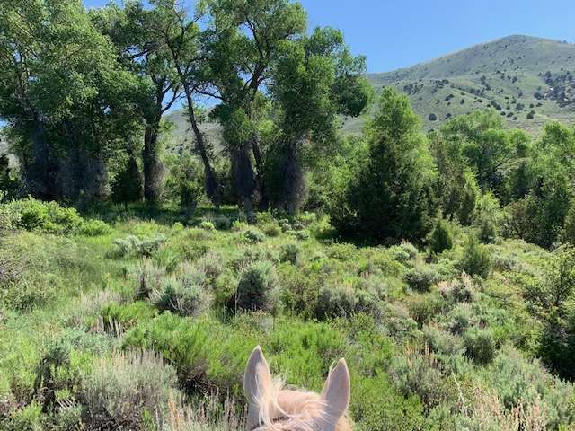 Lapoint, Utah, 84039, United States, ,Land,For Sale,1984021