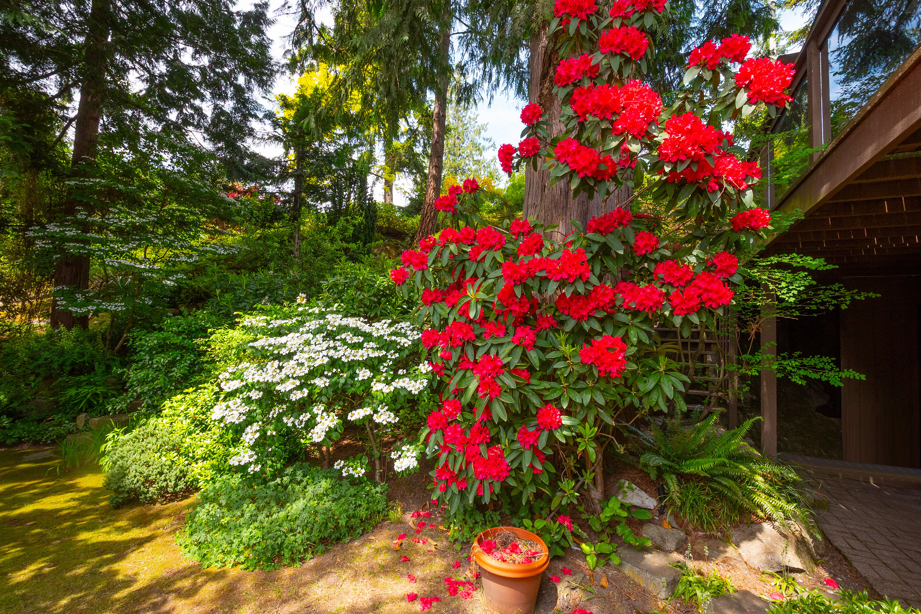  West Vancouver, Greater Vancouver - 物件實景