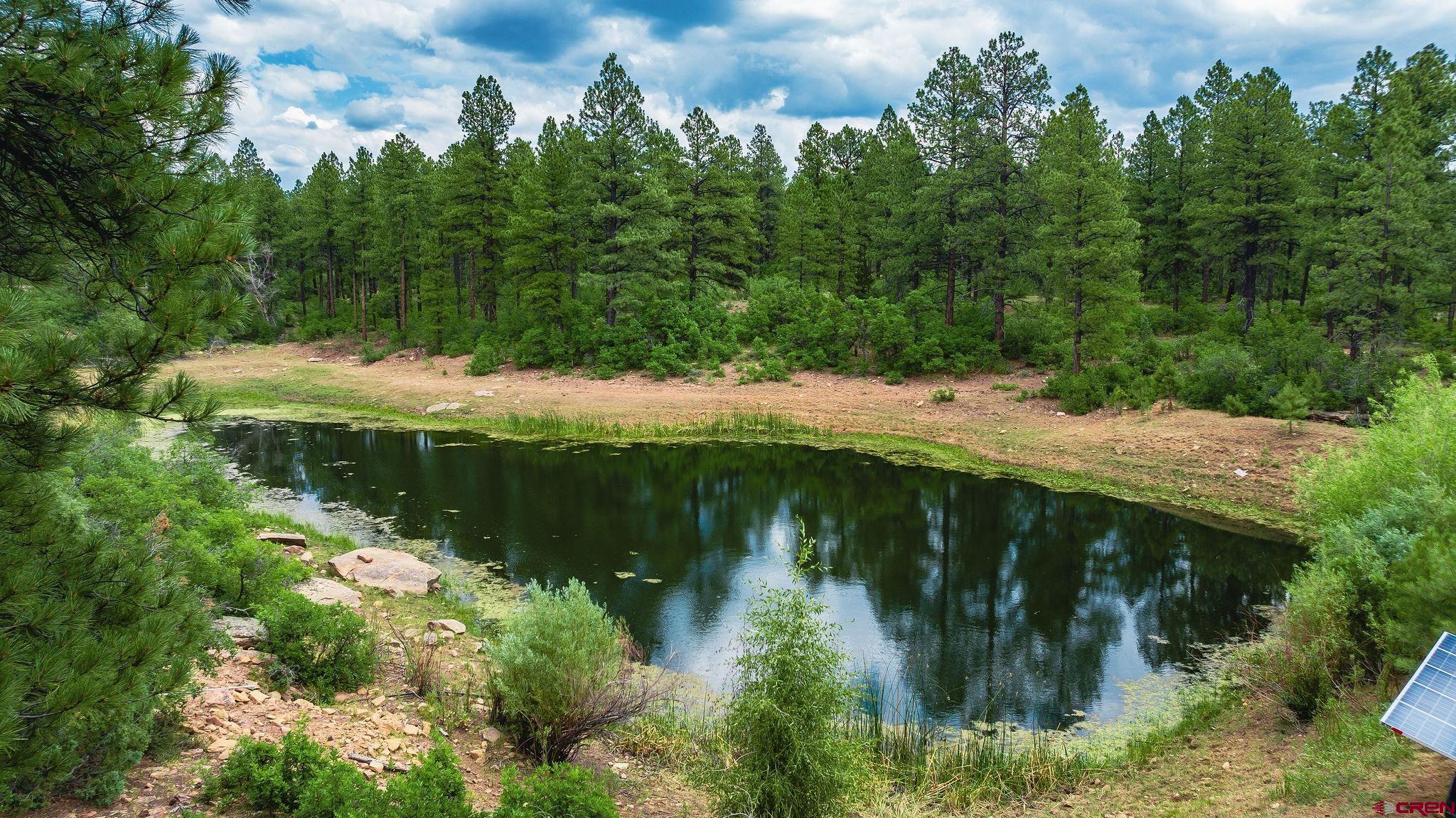 Mancos, Colorado, 81328, United States, 3 Bedrooms Bedrooms, ,4 BathroomsBathrooms,Residential,For Sale,1978860